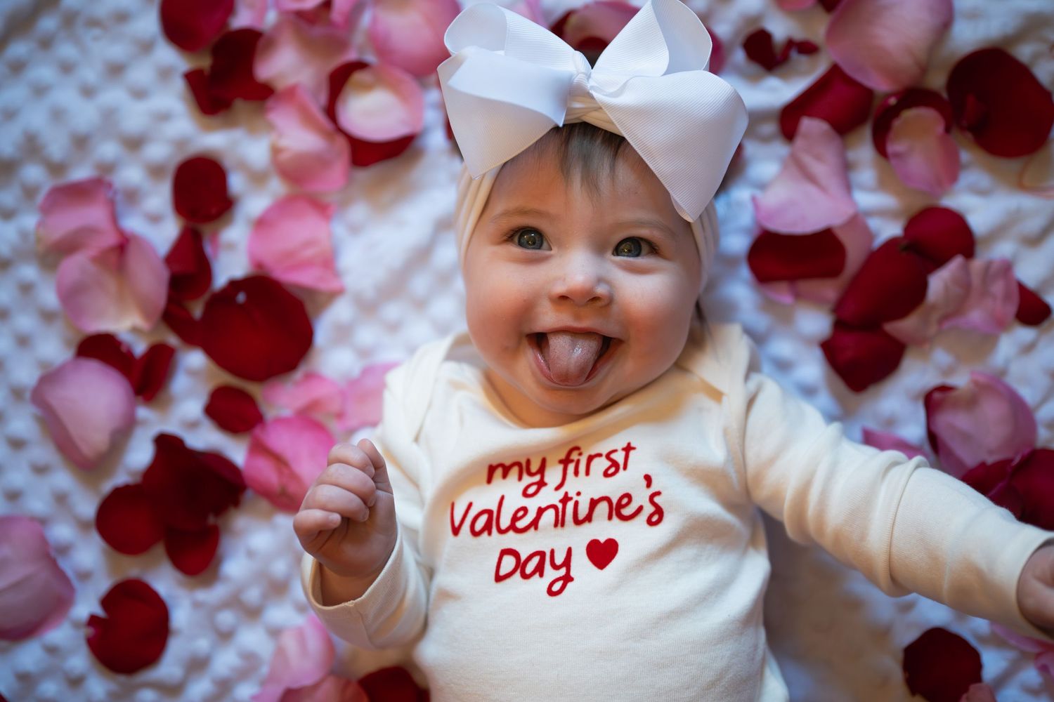 A collage of Valentine's Day themed photos with rose petals and pink bows against a white background.