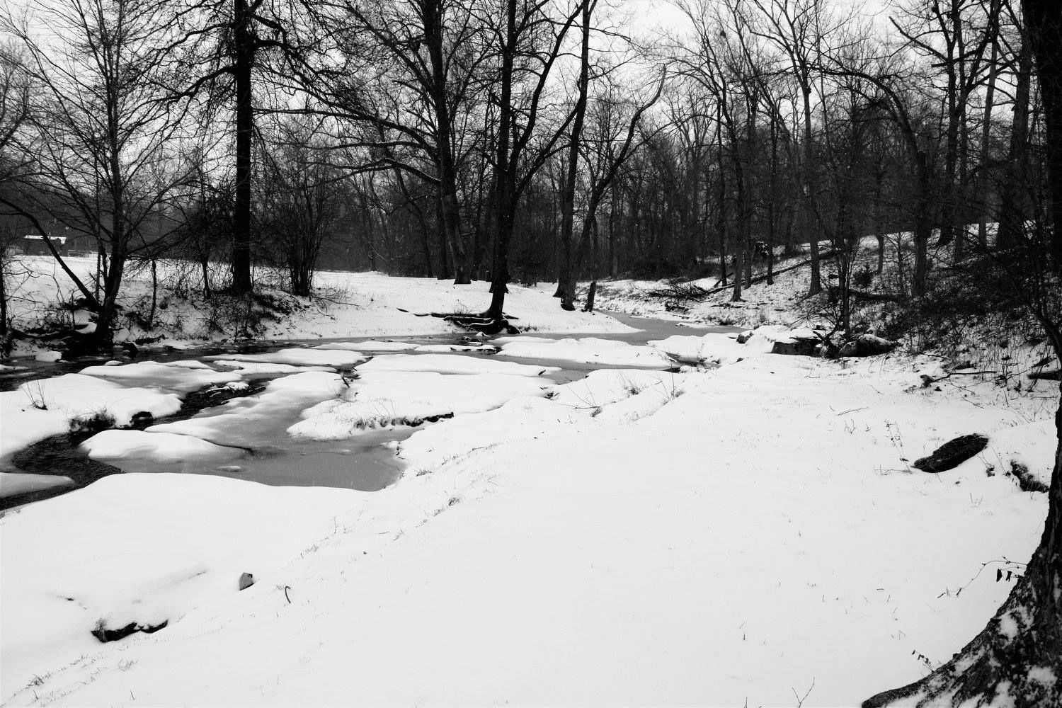 A panoramic winter scene shows a snow-covered creek winding through bare trees in a serene forest landscape.