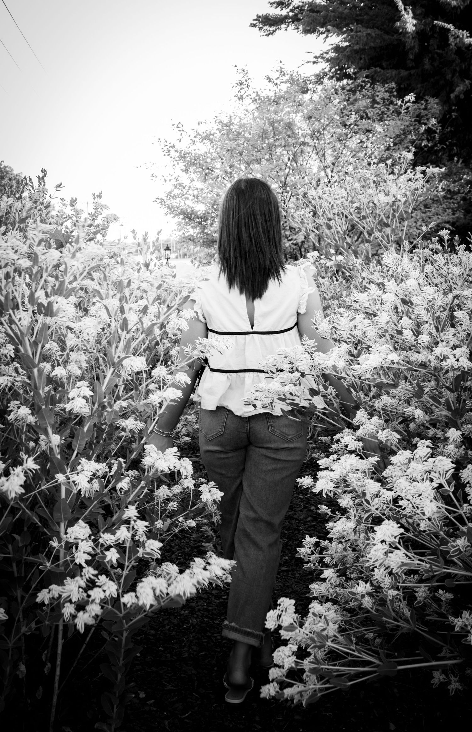 A black and white photo series shows a figure in dark clothing standing among blooming white flowers in a garden.