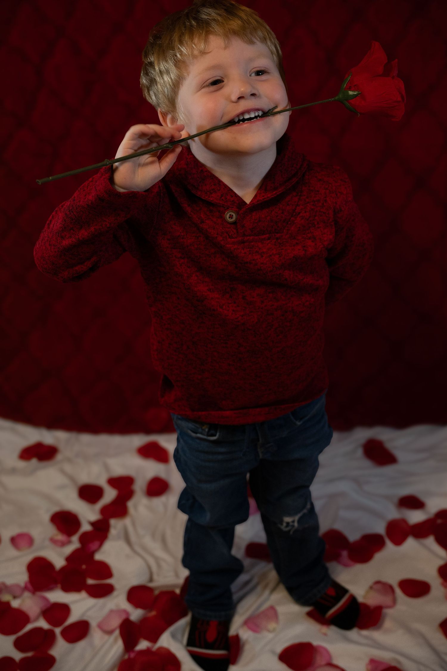 A child in a red sweater and jeans holds a rose stem between their teeth while standing on rose petals against a red backdrop.