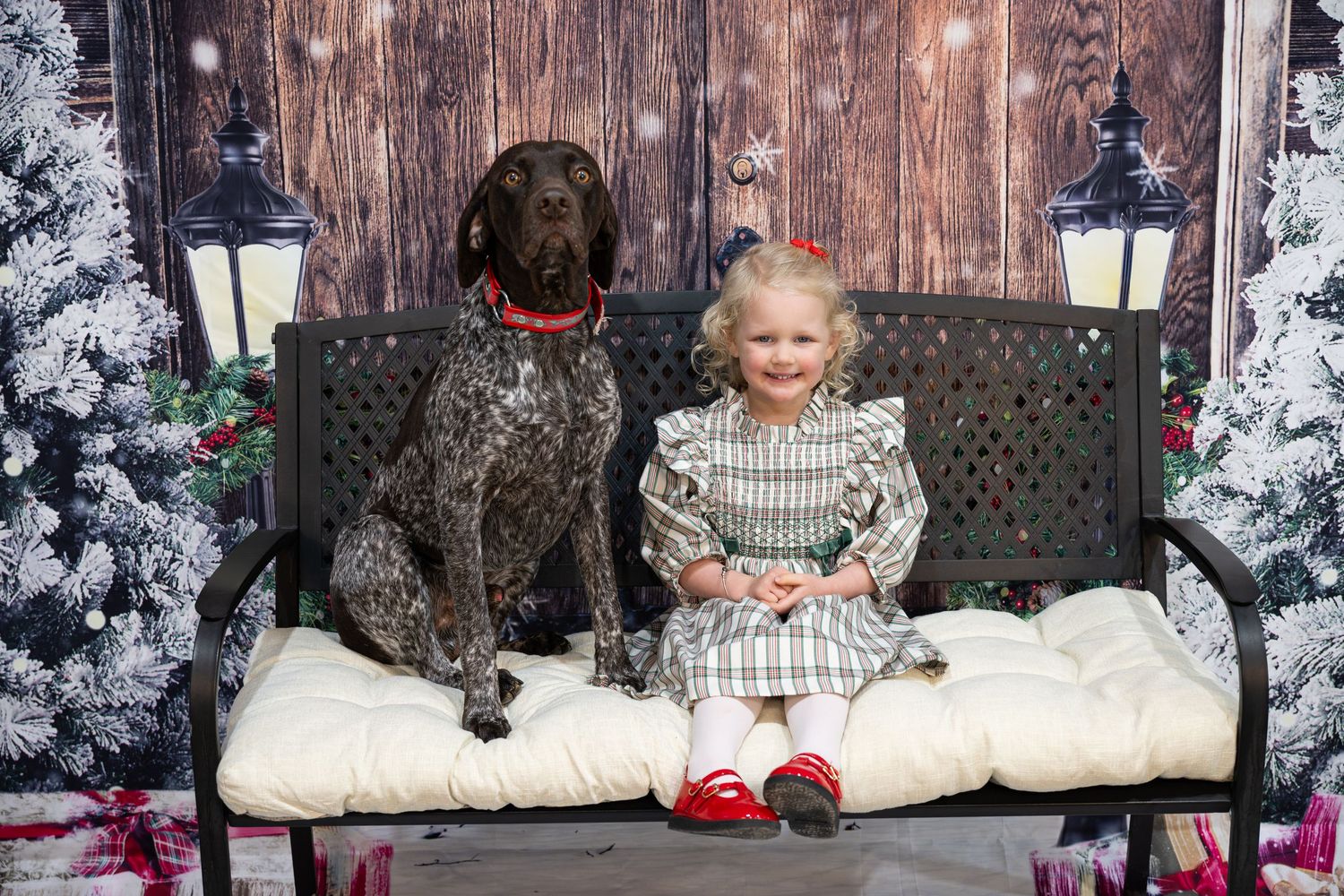 Black dog and child sitting on white bench with festive holiday backdrop.