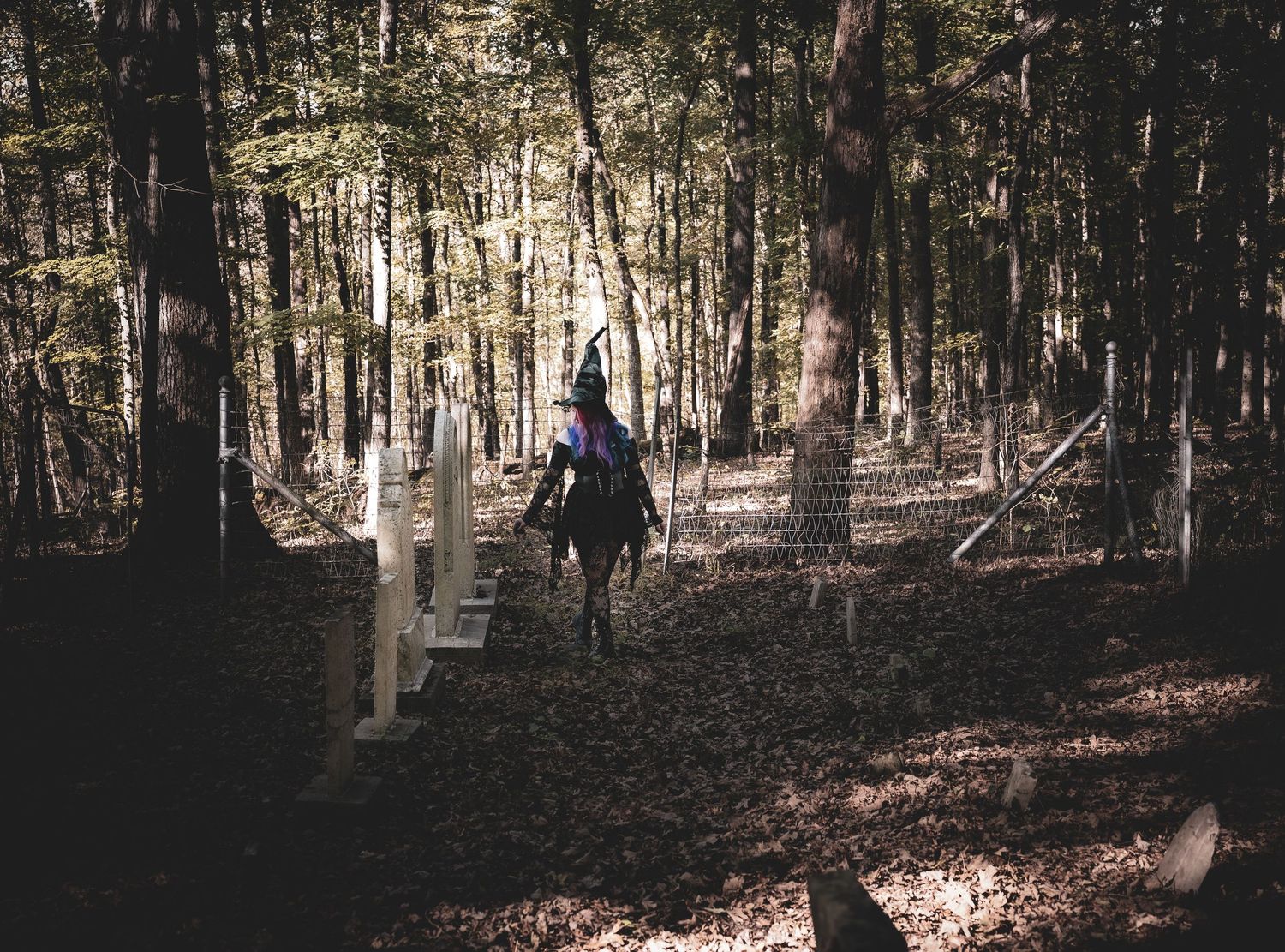 A silhouetted figure rides a bicycle through a sunlit forest with tall trees casting shadows on the forest floor.