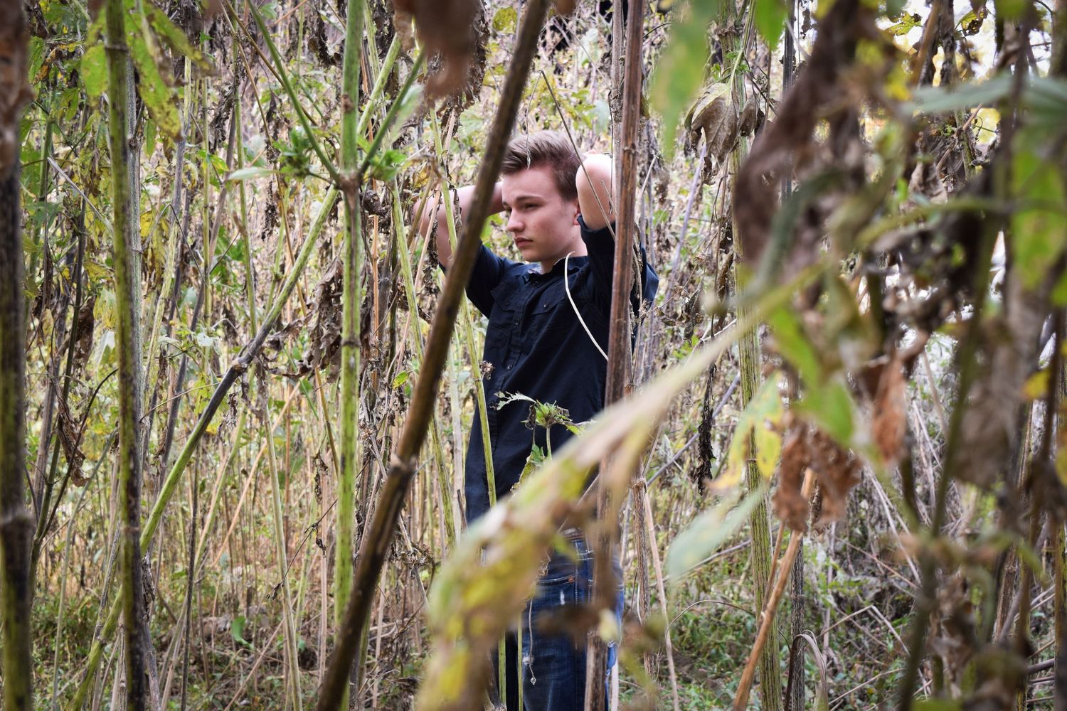 Person walking through dense bamboo forest path with sunlight filtering through tall green stalks.