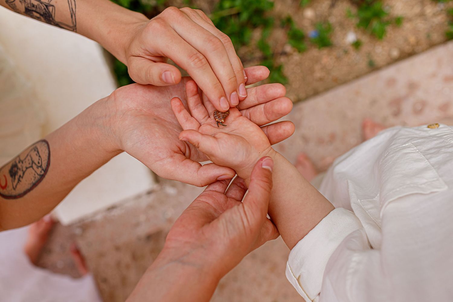 Family sharing a small hermit crab during a candid photo session in Mismaloya, Puerto Vallarta