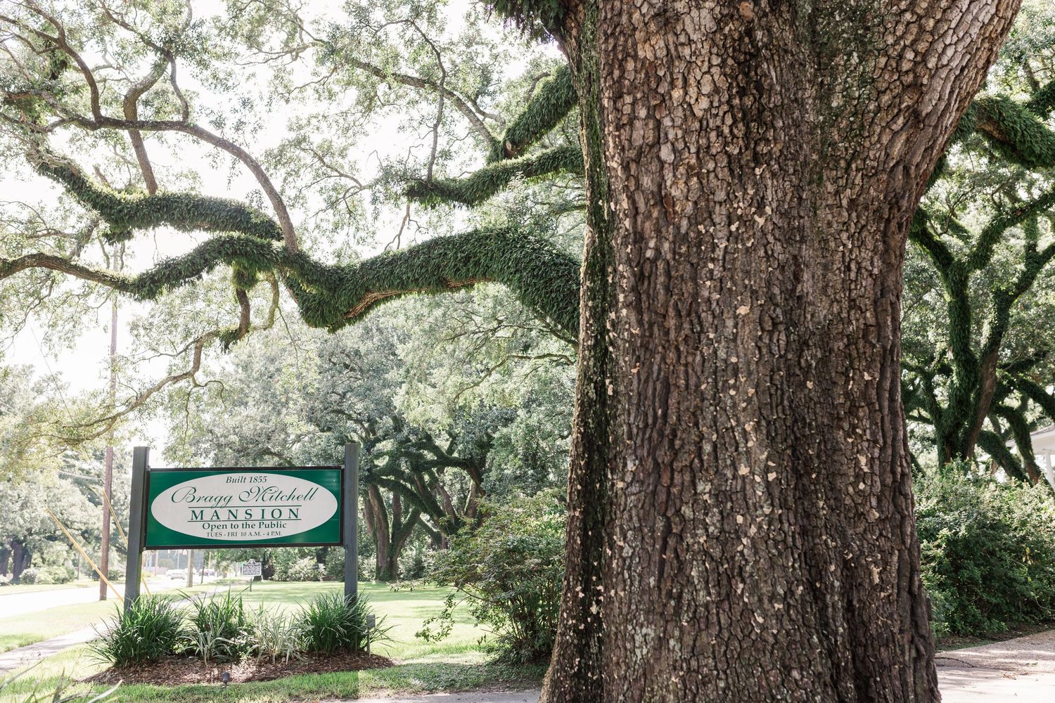 Bragg-Mitchell Mansion Wedding in Mobile Alabama Photography Grand Laurel Photography