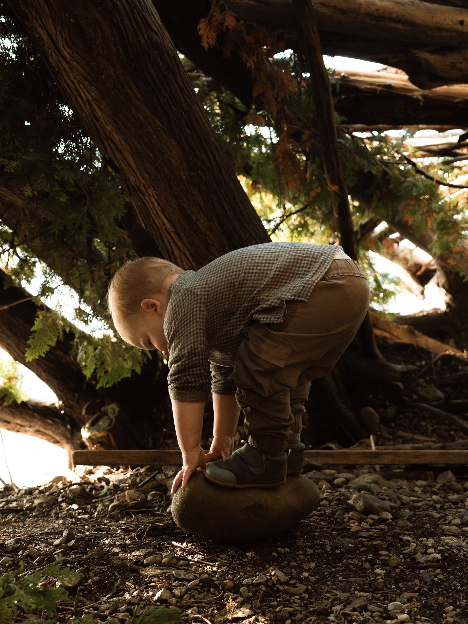 Child exploring under tree branches in dappled sunlight during an outdoor adventure.