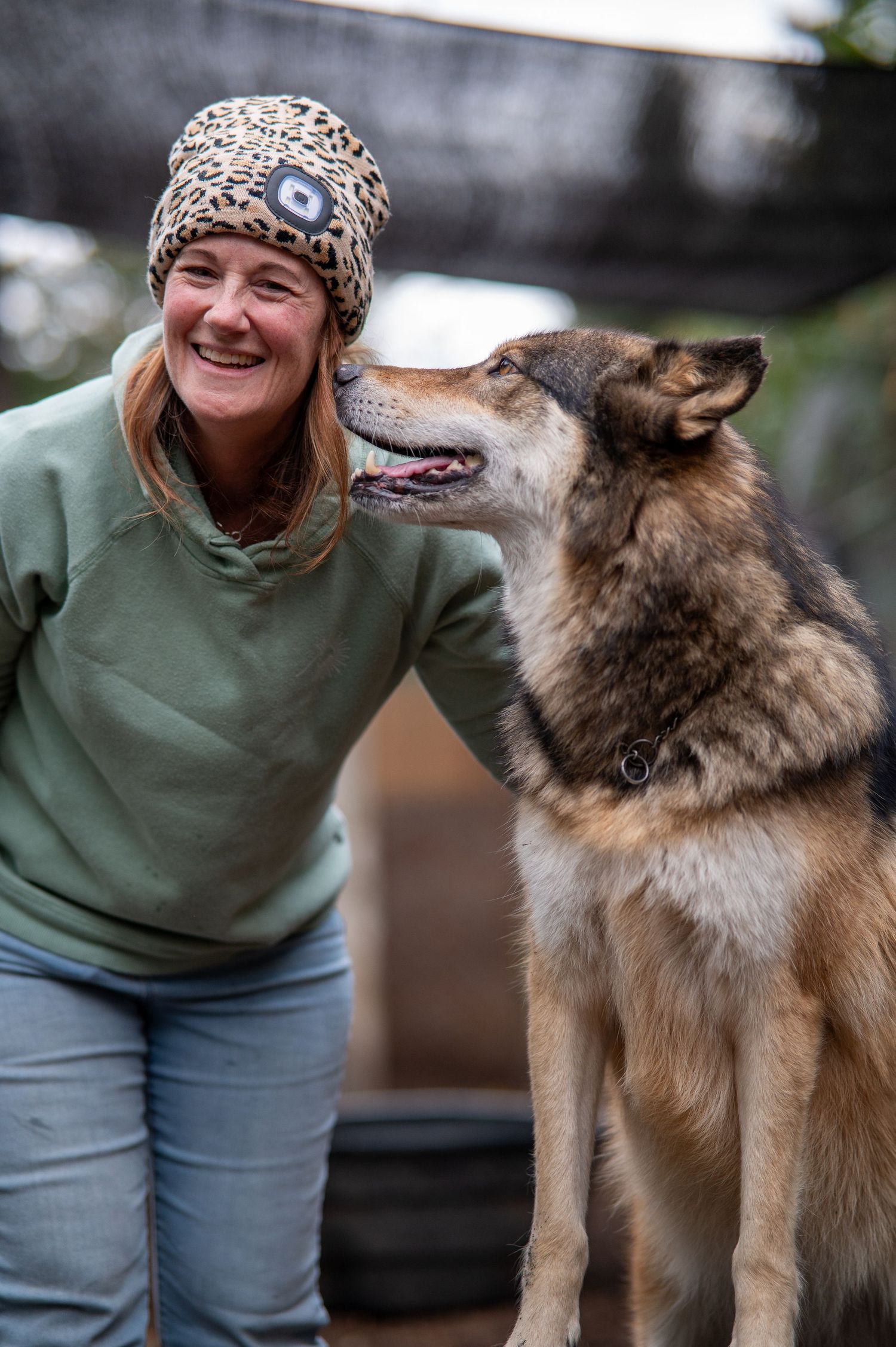 Wolfdog and handler at local wolfdog rescue.