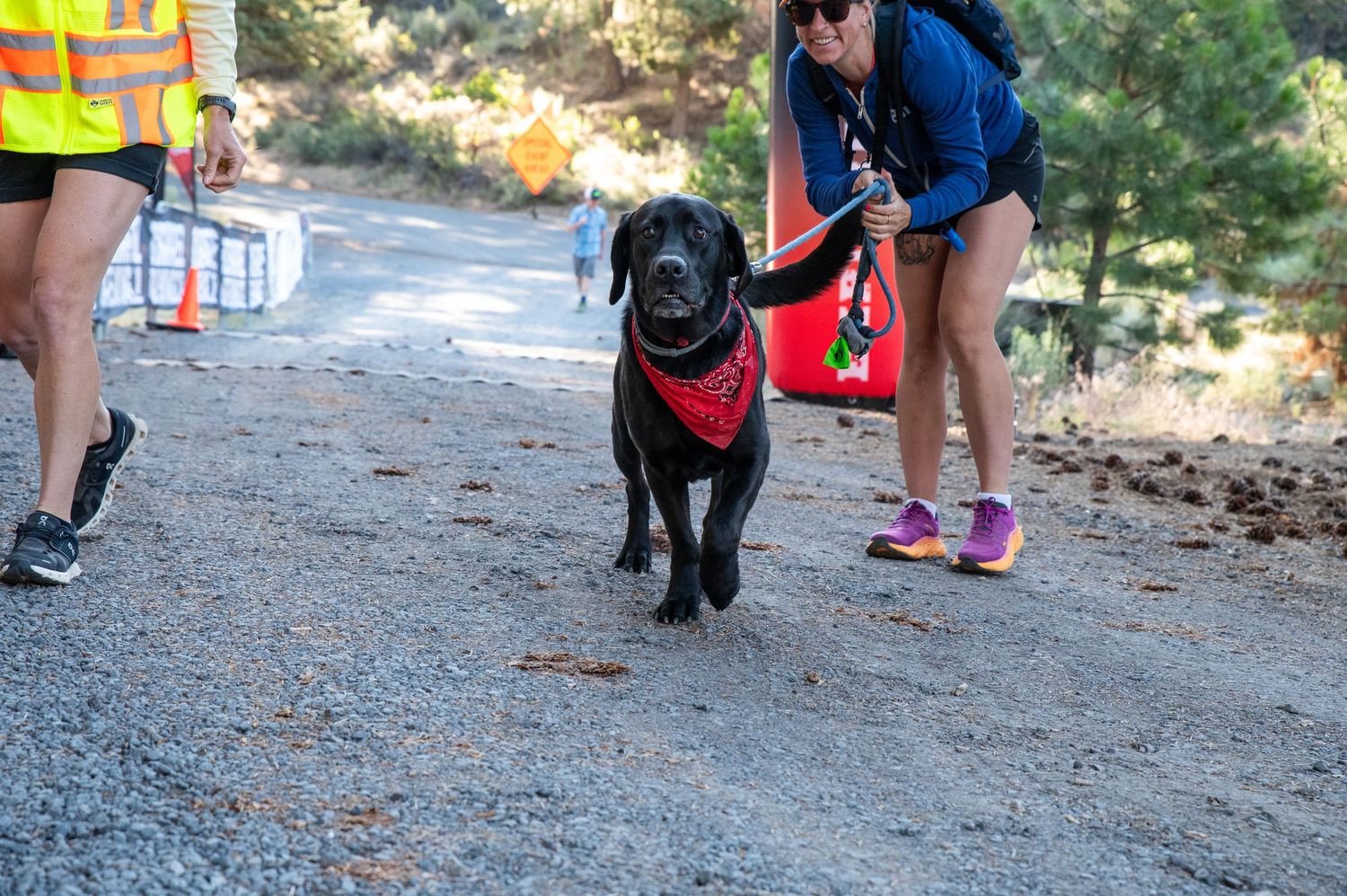 Black Labrador trail dog at Bend dirt fest hosted by Mudslinger events.