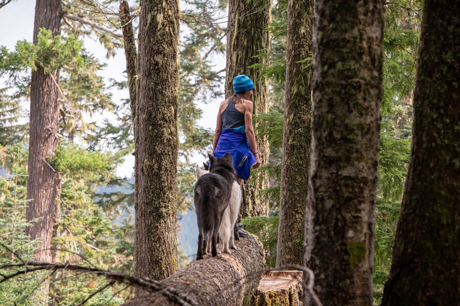 Lifestyle photography with pets and people. Enjoy the outdoors with your dog. Explore Oregon hiking trails with your dogs.
