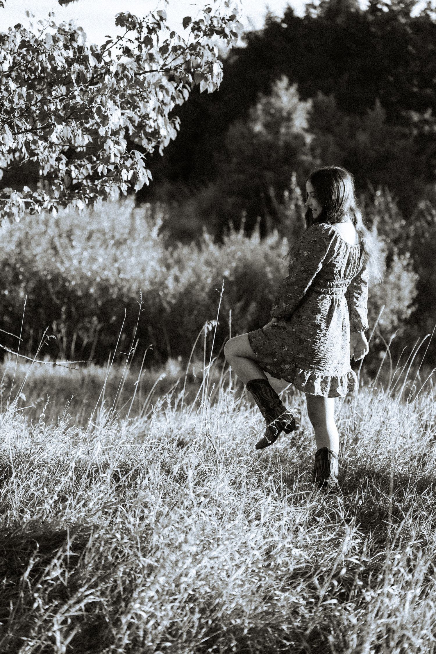 A series of black and white photos showing figures walking through a sunlit field of tall grass.