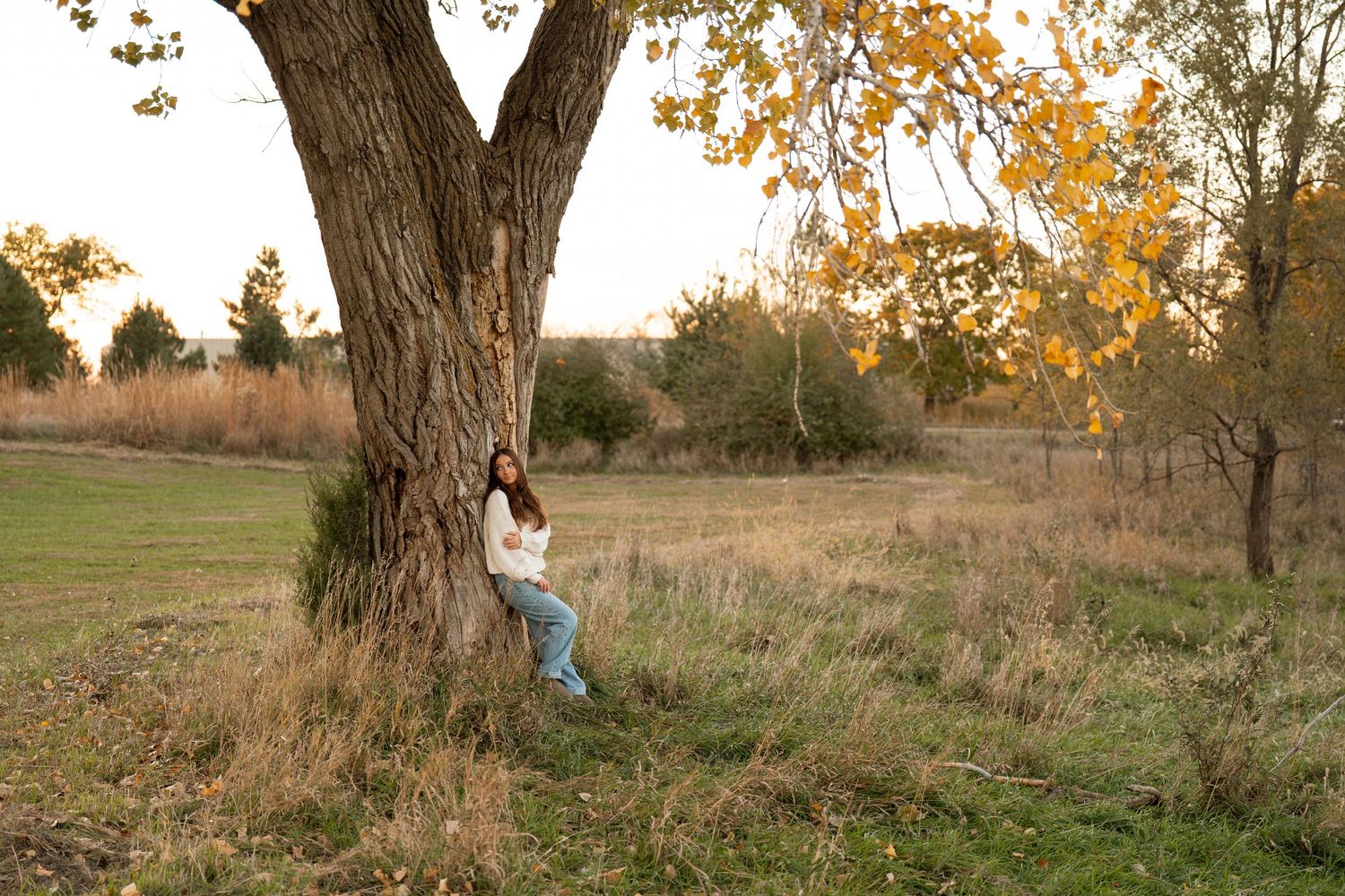 A person walks through a golden autumn field with tall trees and warm sunlight filtering through the branches.