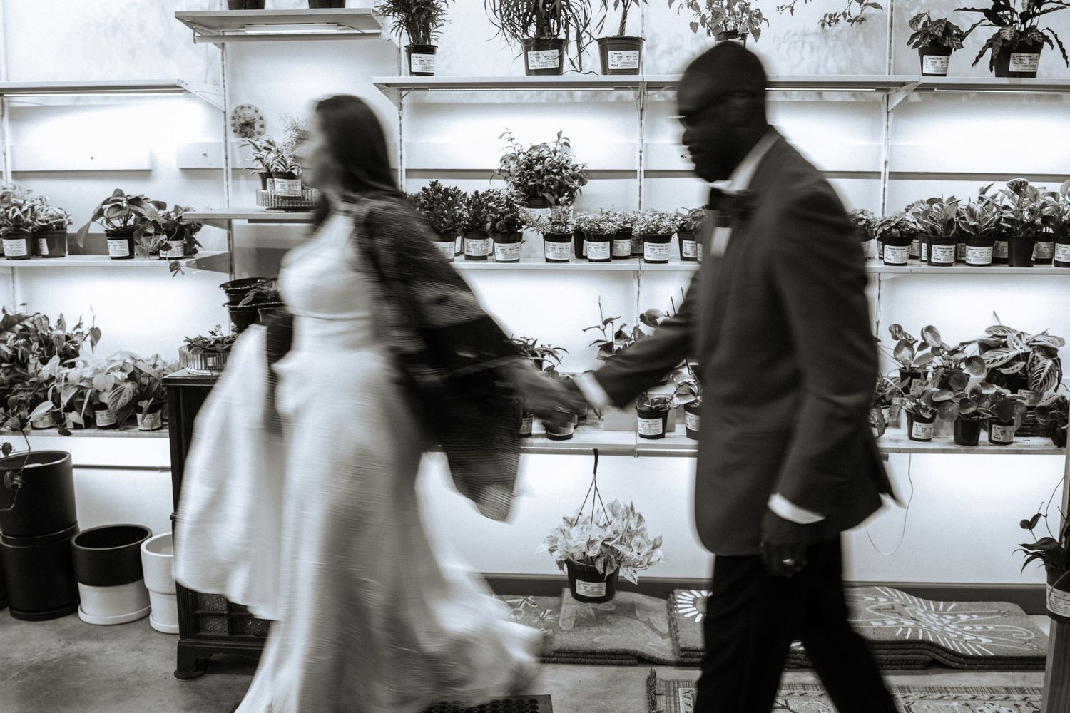 Black and white photo of a bride and groom walking hand in hand past shelves of potted plants.