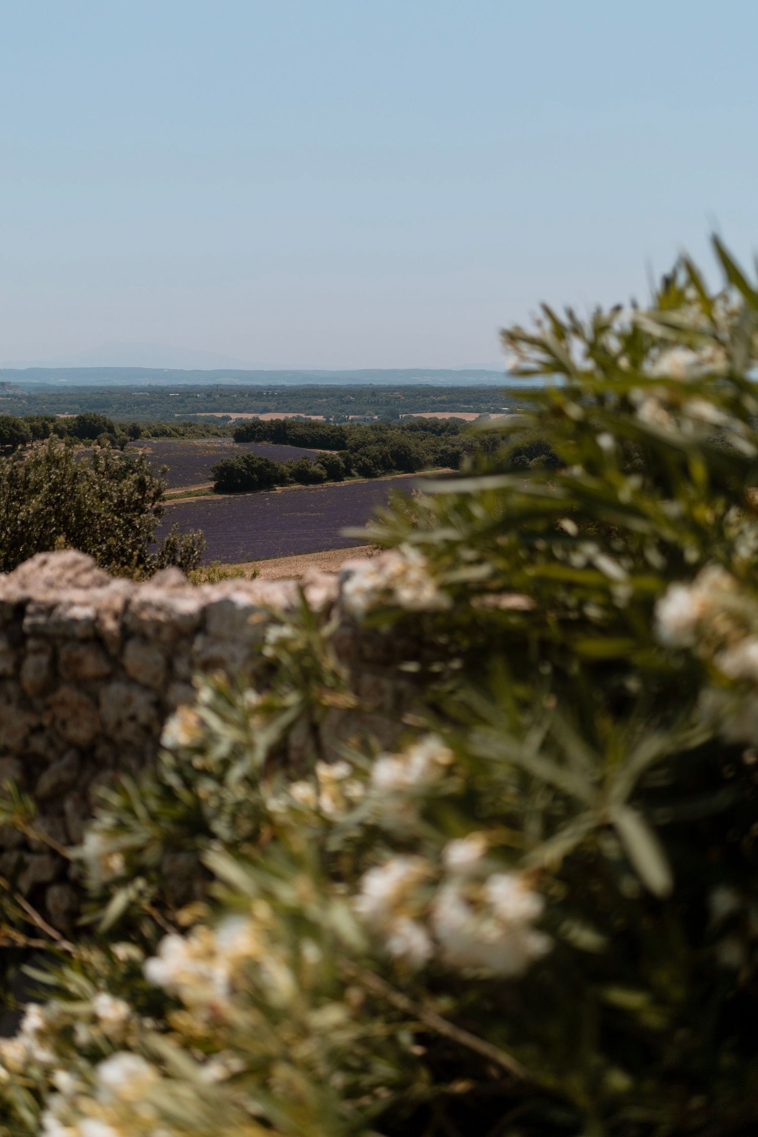 Couple de mariés, reportage mariage en Drôme Provencale, Provence, shooting couple, séance couple, Photographe de mariage, Lyon Beaujolais