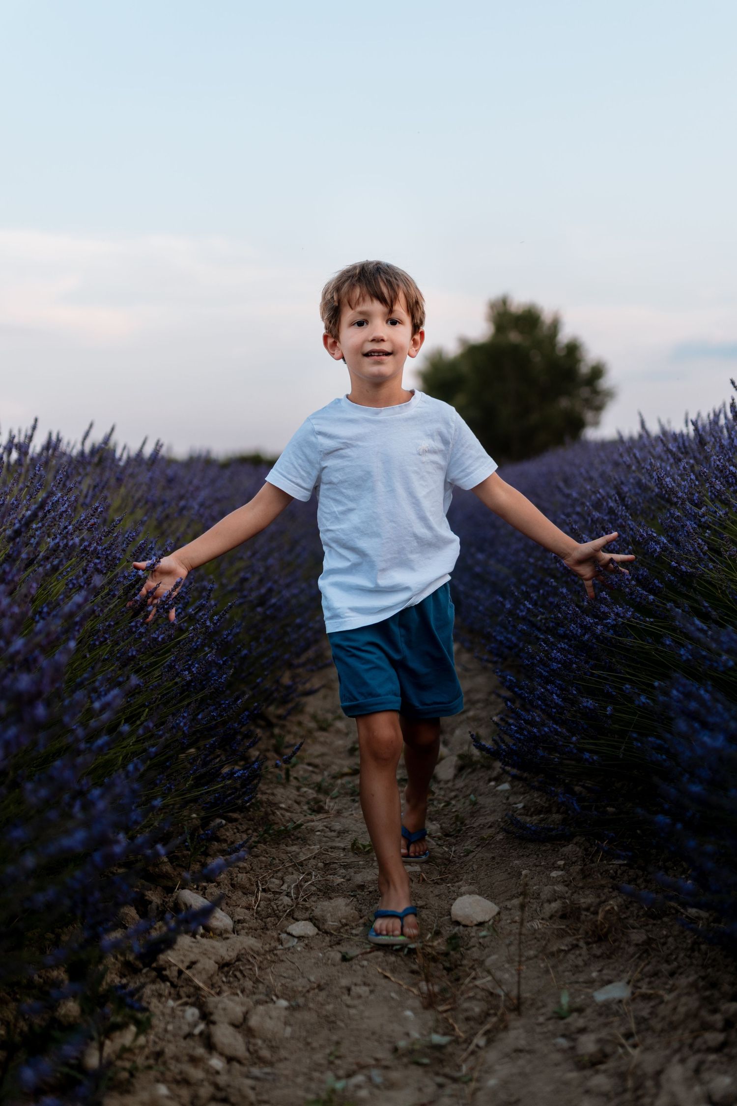 Séance famille dans les lavandes en Provence