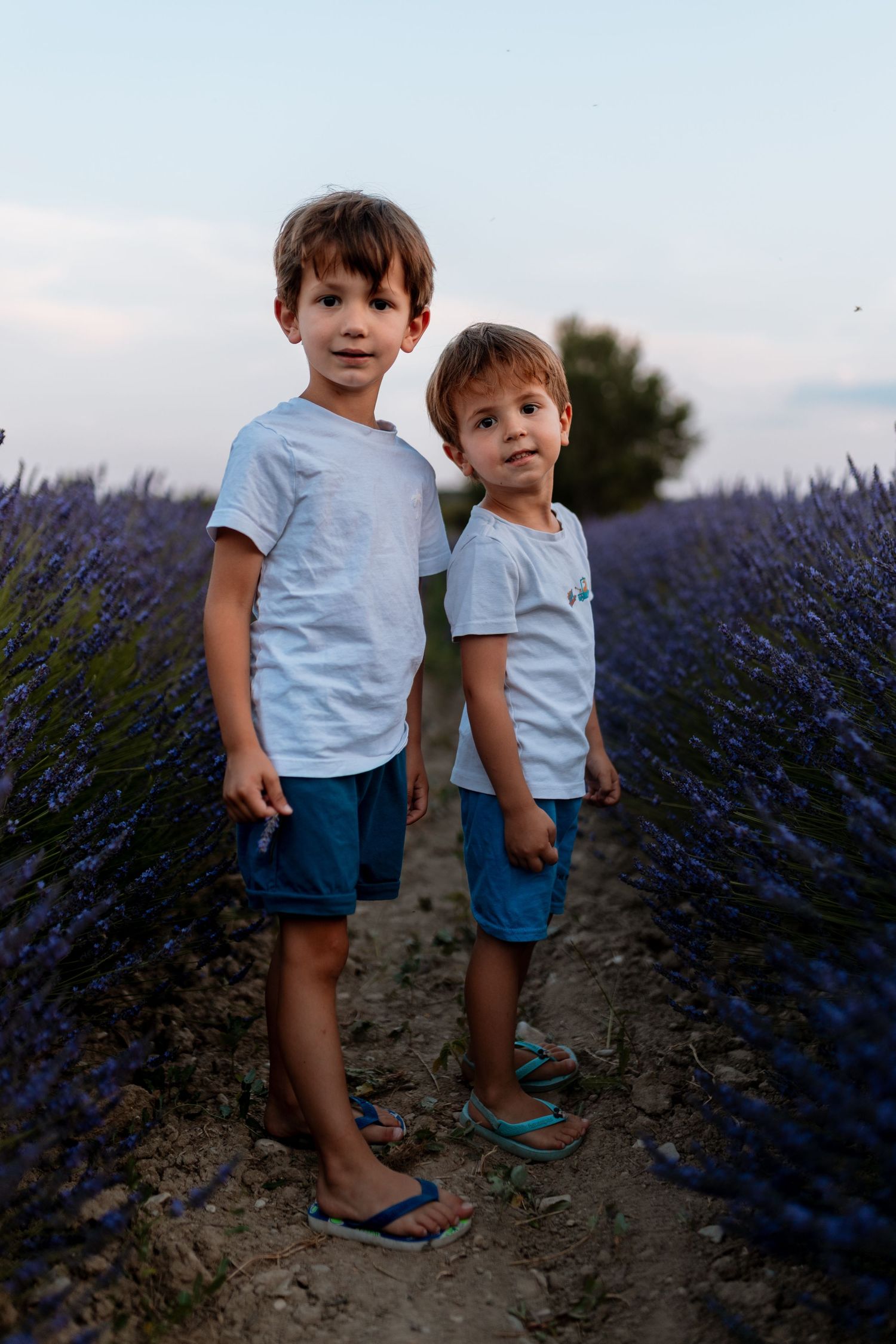 Séance famille dans les lavandes en Provence