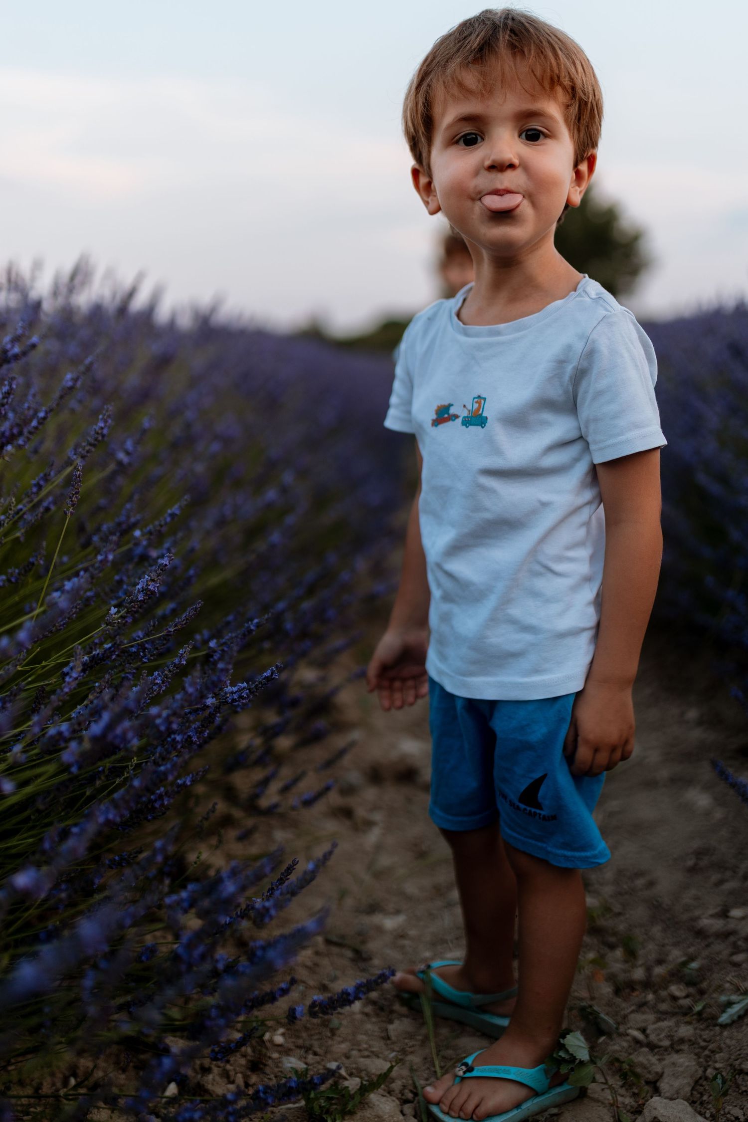 Séance famille dans les lavandes en Provence