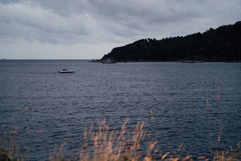 A scenic coastal view with overcast skies and distant forested hills along the water's edge.
