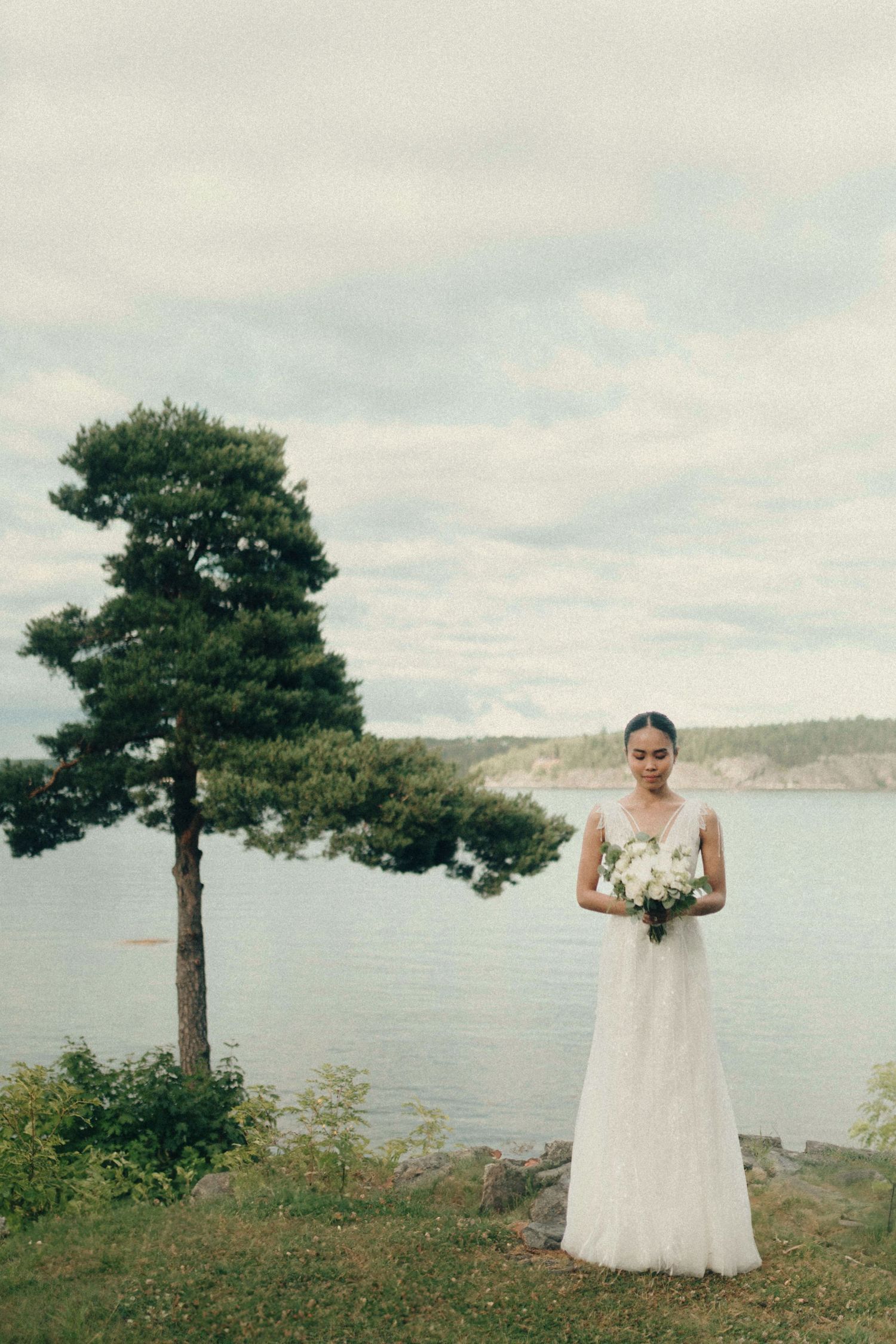 A scenic coastal wedding photoshoot featuring a white dress against evergreen trees and ocean views.