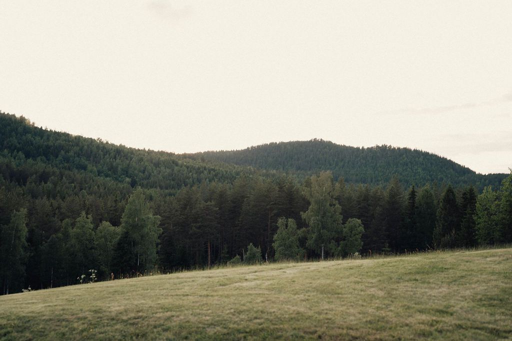 Rolling green meadow meets dense forest at the edge of tree-covered hills under an overcast sky.