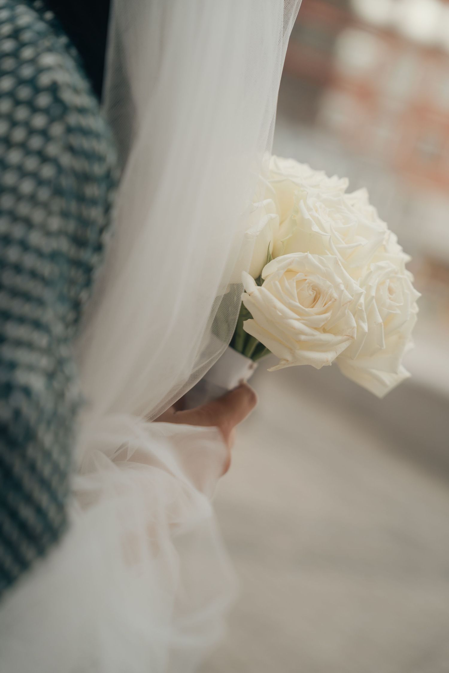 A delicate white rose in soft focus with a blurred background creating a dreamy romantic atmosphere.