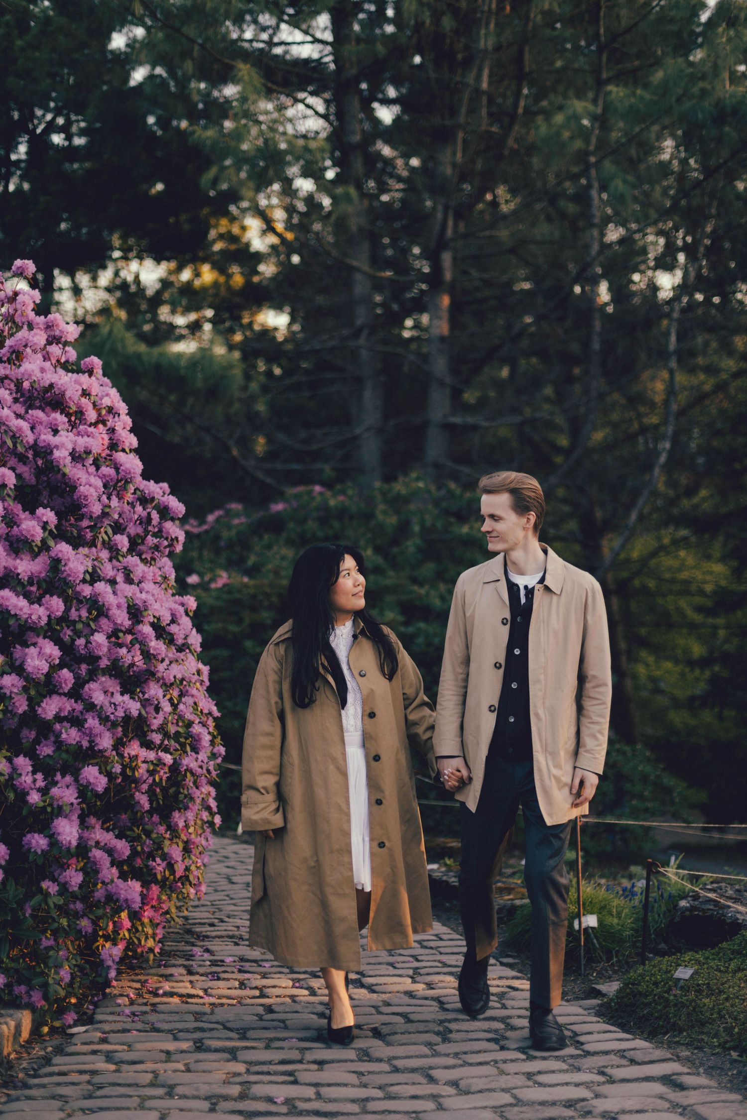 A couple walks together near blooming pink rhododendron bushes along a brick wall in a garden setting.