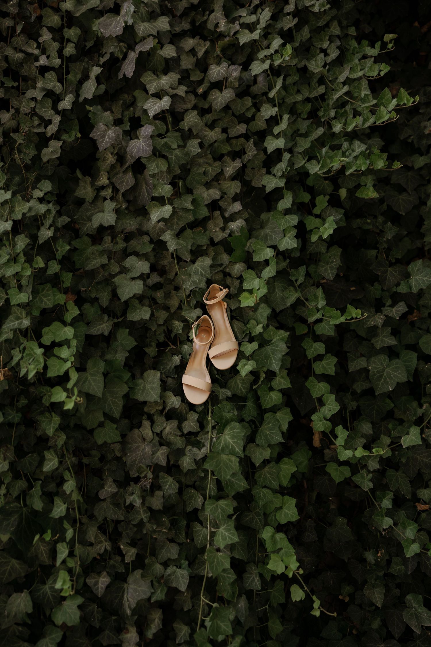 Nude strappy heeled sandals placed on a lush green ivy wall, perfect for an elegant outdoor wedding.