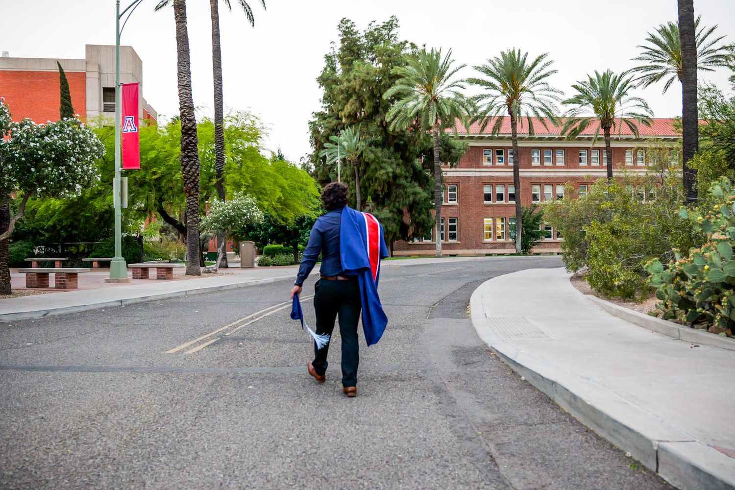 Graduate in cap and gown walks alone down a palm-lined campus road at the University of Arizona.
