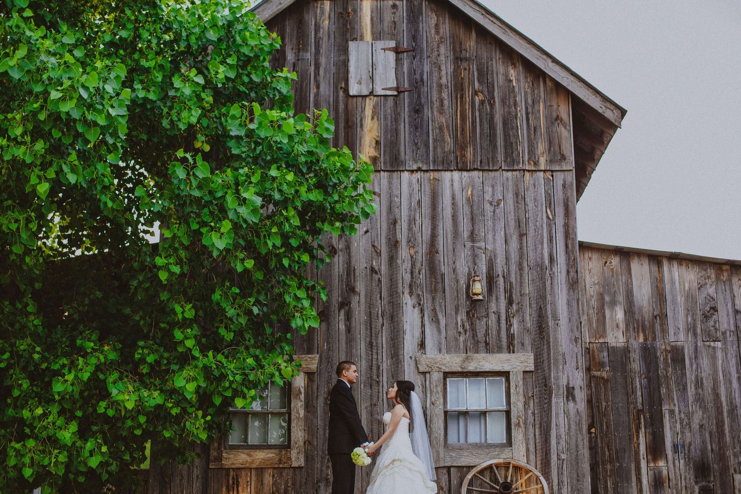 Bride and groom pose romantically in front of a rustic wooden barn surrounded by lush green trees.