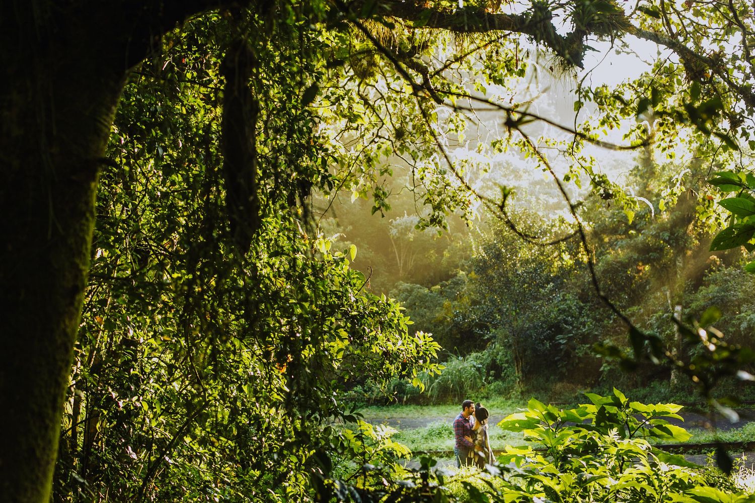 Couple sitting together in a lush green tropical forest with sunlight filtering through the dense tree canopy.