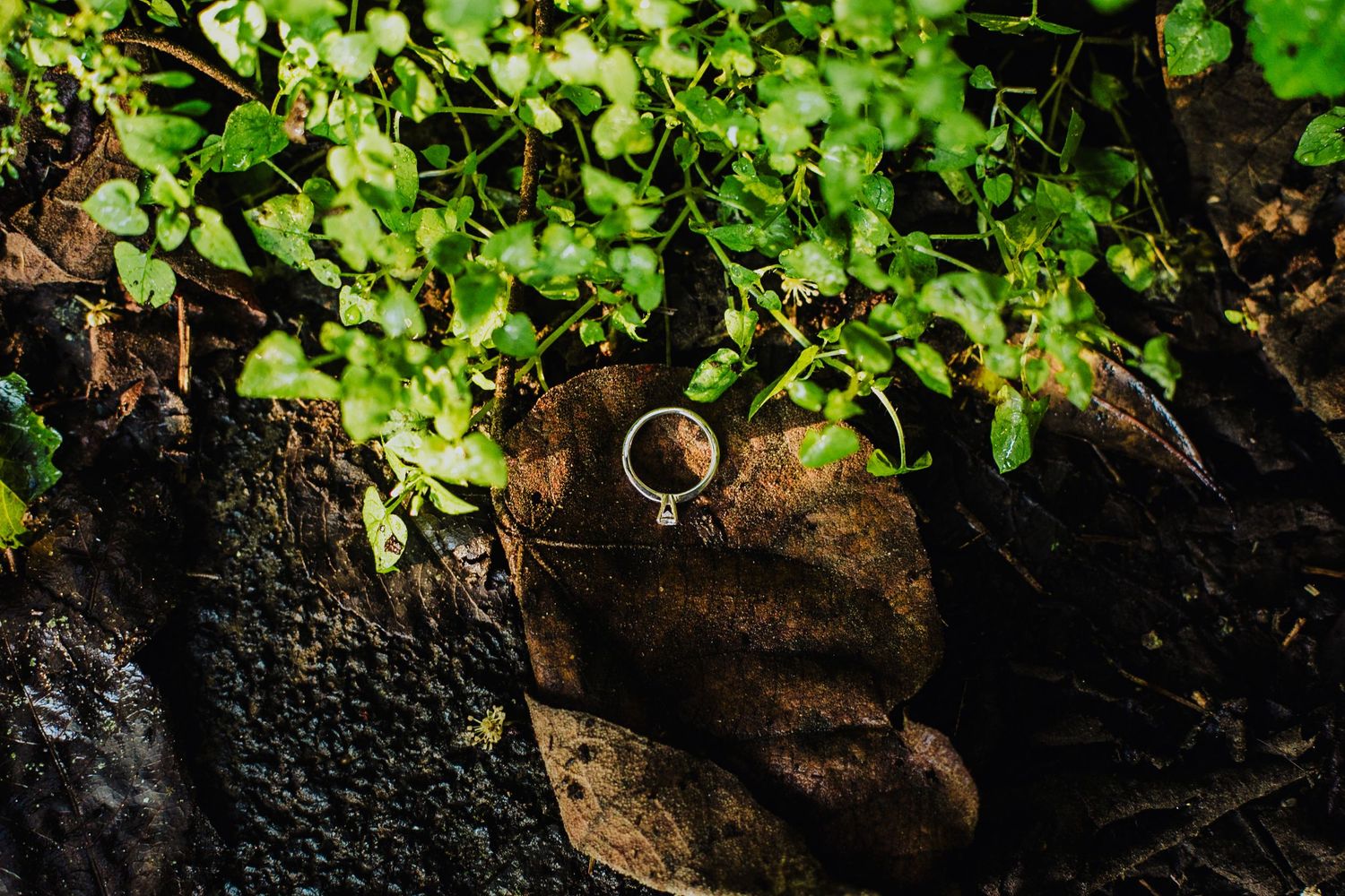 A diamond engagement ring resting on a fallen leaf surrounded by lush green plants and dark soil.
