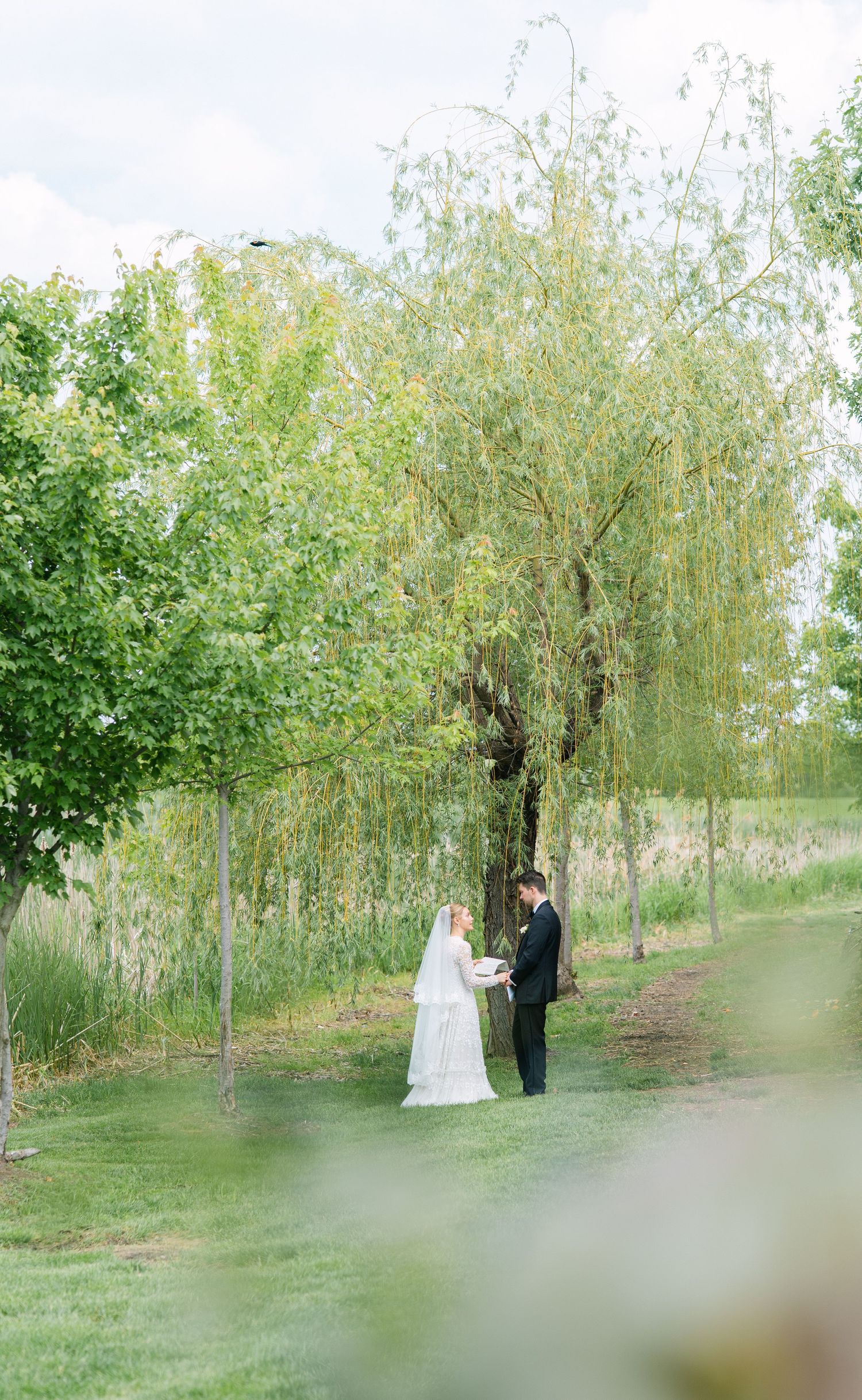 Bride in a white gown and veil holds hands with a groom in a dark suit beneath a weeping willow in a green outdoor garden.