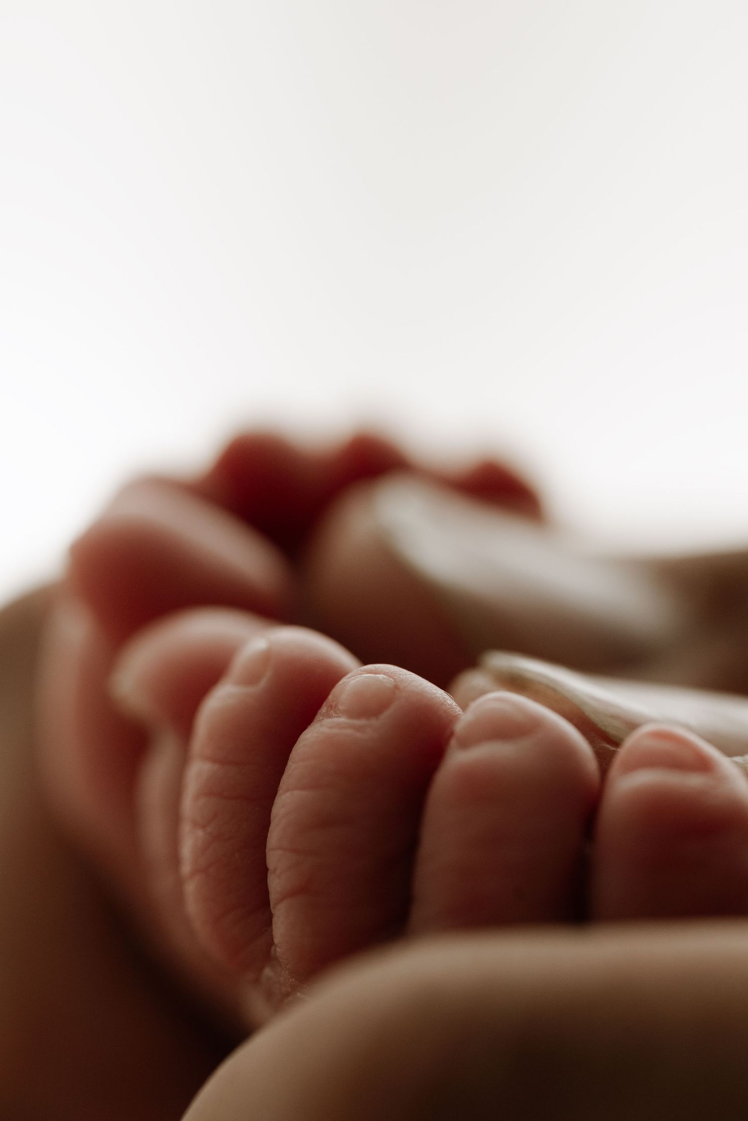 Close-up macro shot of tiny newborn baby toes in soft lighting.