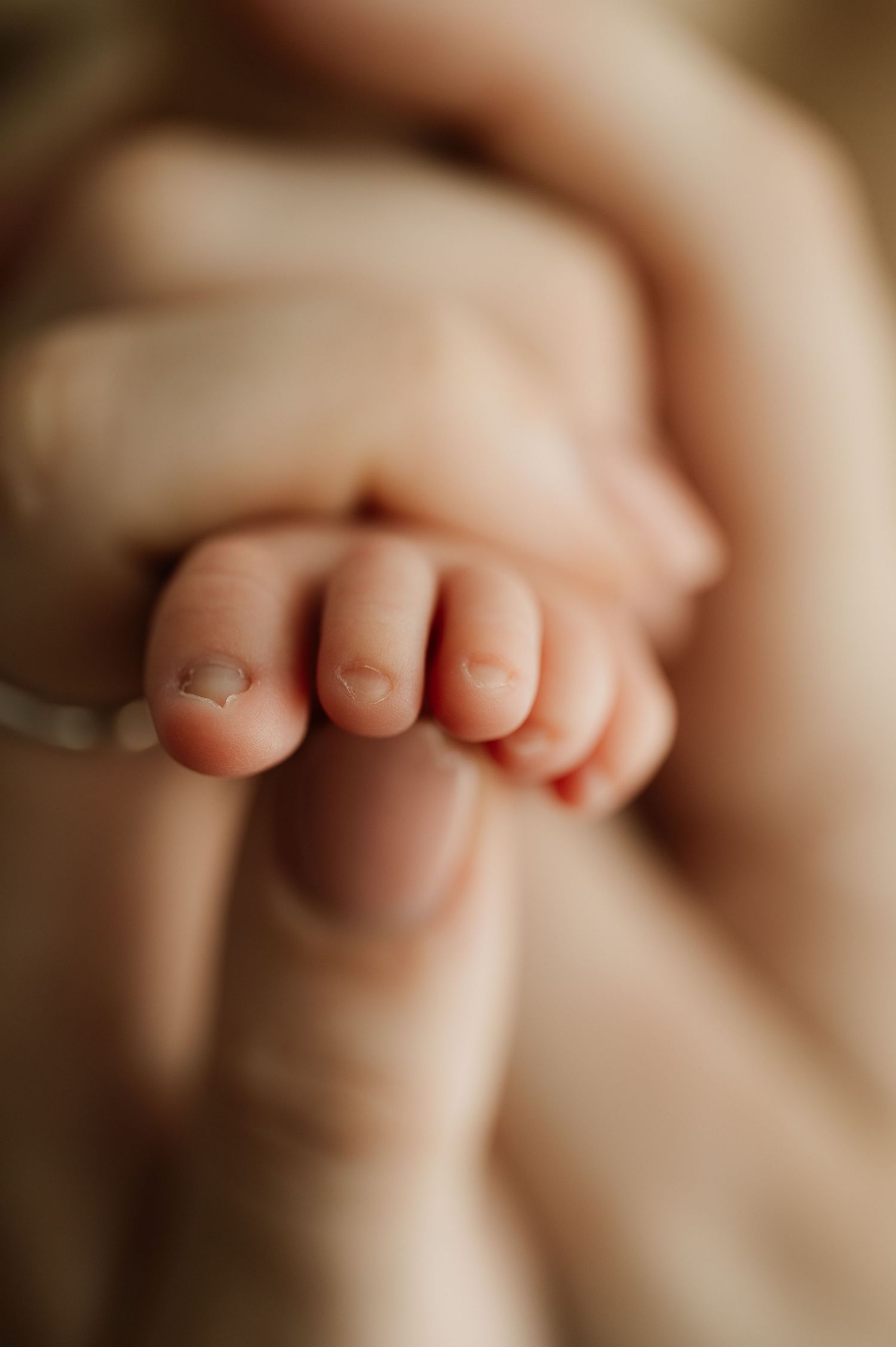 Close-up of baby's tiny toes grasping adult finger in warm lighting.