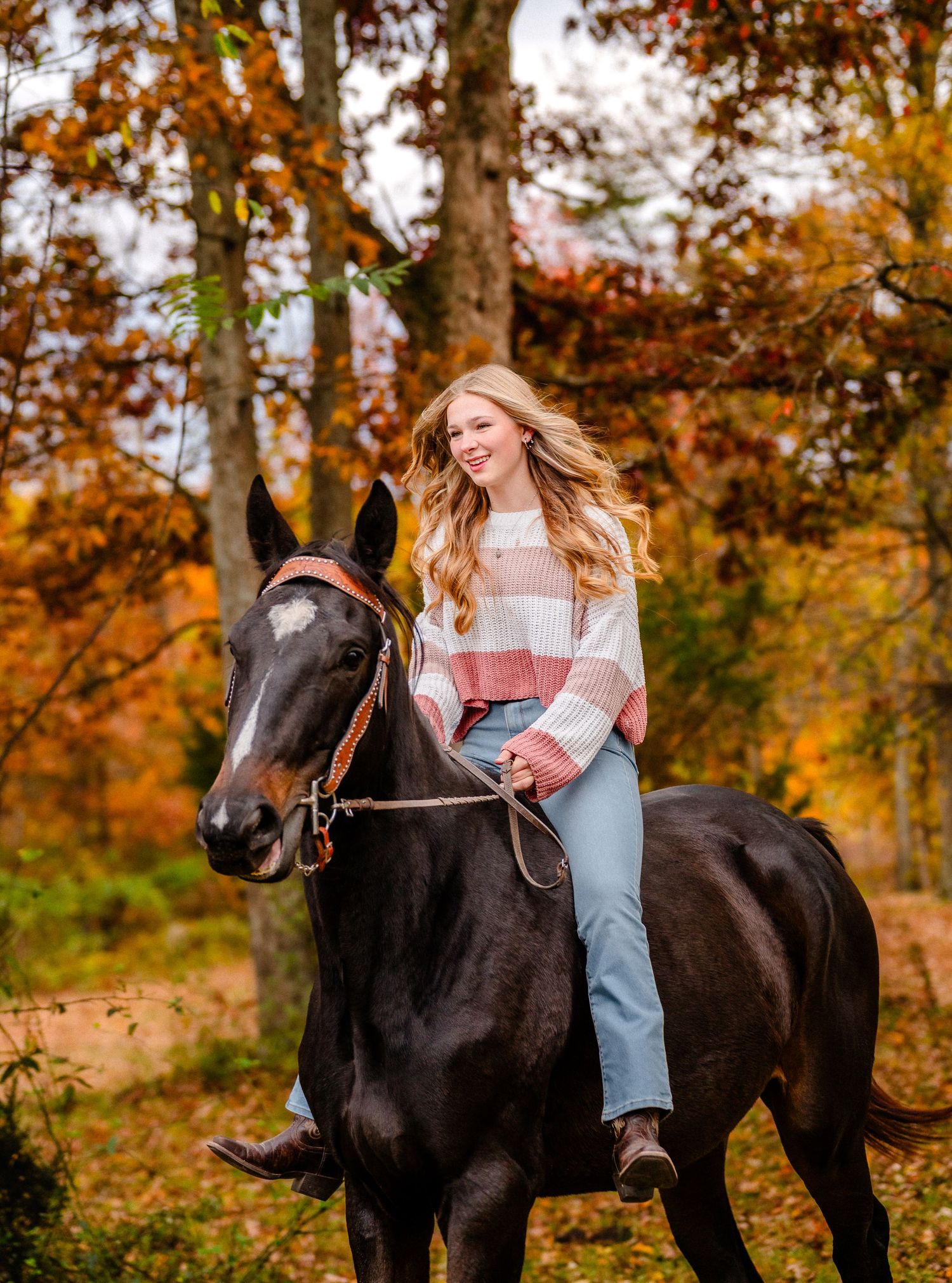 A rider enjoys a peaceful autumn horseback ride through a forest with golden fall foliage.