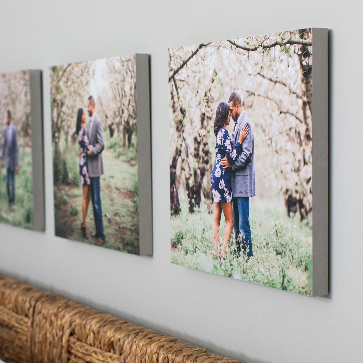 Gallery wall displaying a series of canvas prints showing outdoor family portraits among cherry blossoms.