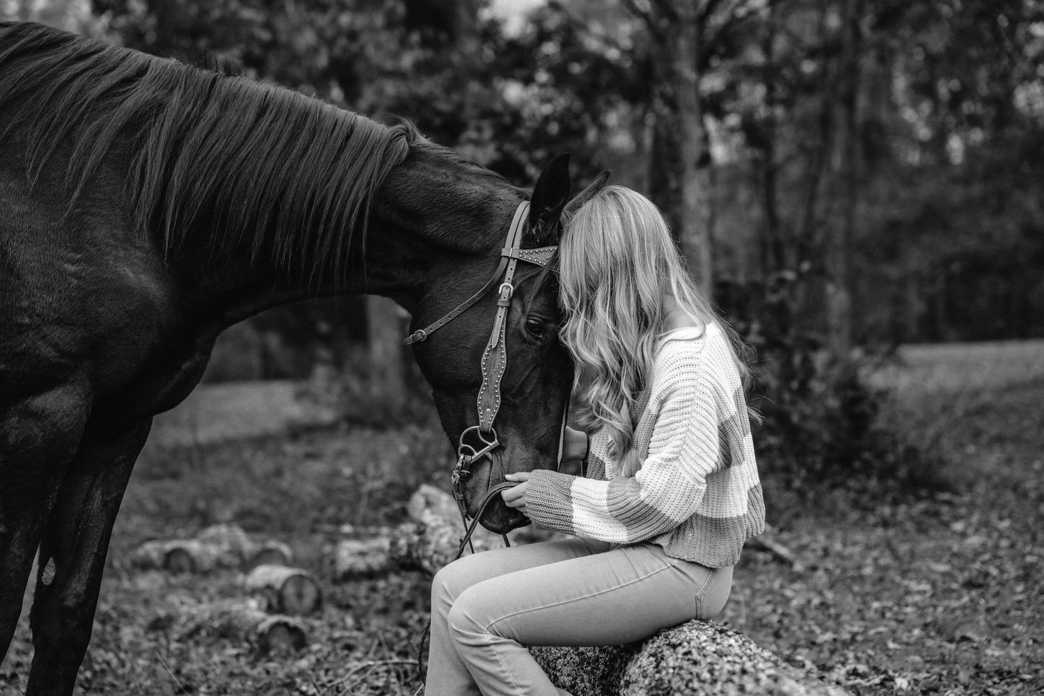 A series of black and white photos showing intimate moments between a person and a horse in a natural outdoor setting.