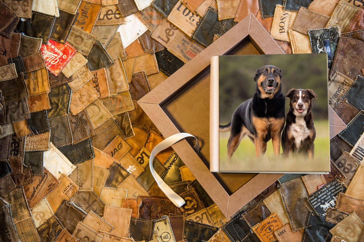 Signature Lay Flat Book - beautiful soulful memories by HelgaZimages, in Tampa Bay, Clearwater, St. Petersburg, Sarasota area