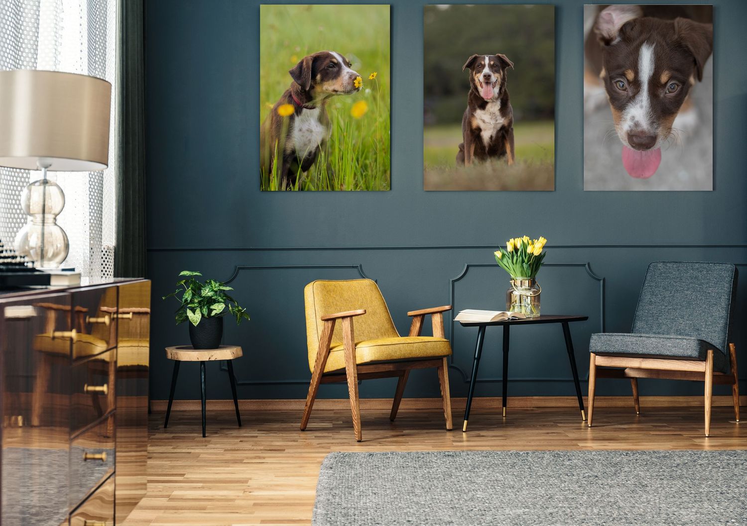 Wall Art display of legacy images showcasing the first year of life of beloved pet, three high end frame options for the discerning client