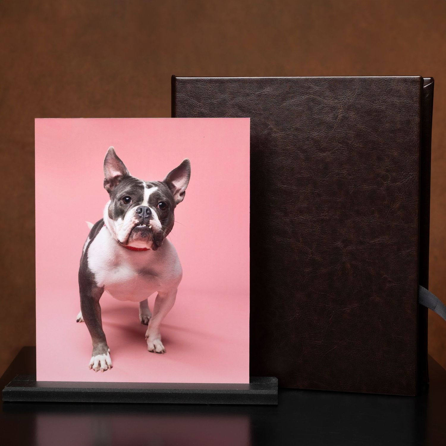 Beautiful memory box alongside a fine art pet portrait, designed to preserve cherished moments and keepsakes in an elegant display.