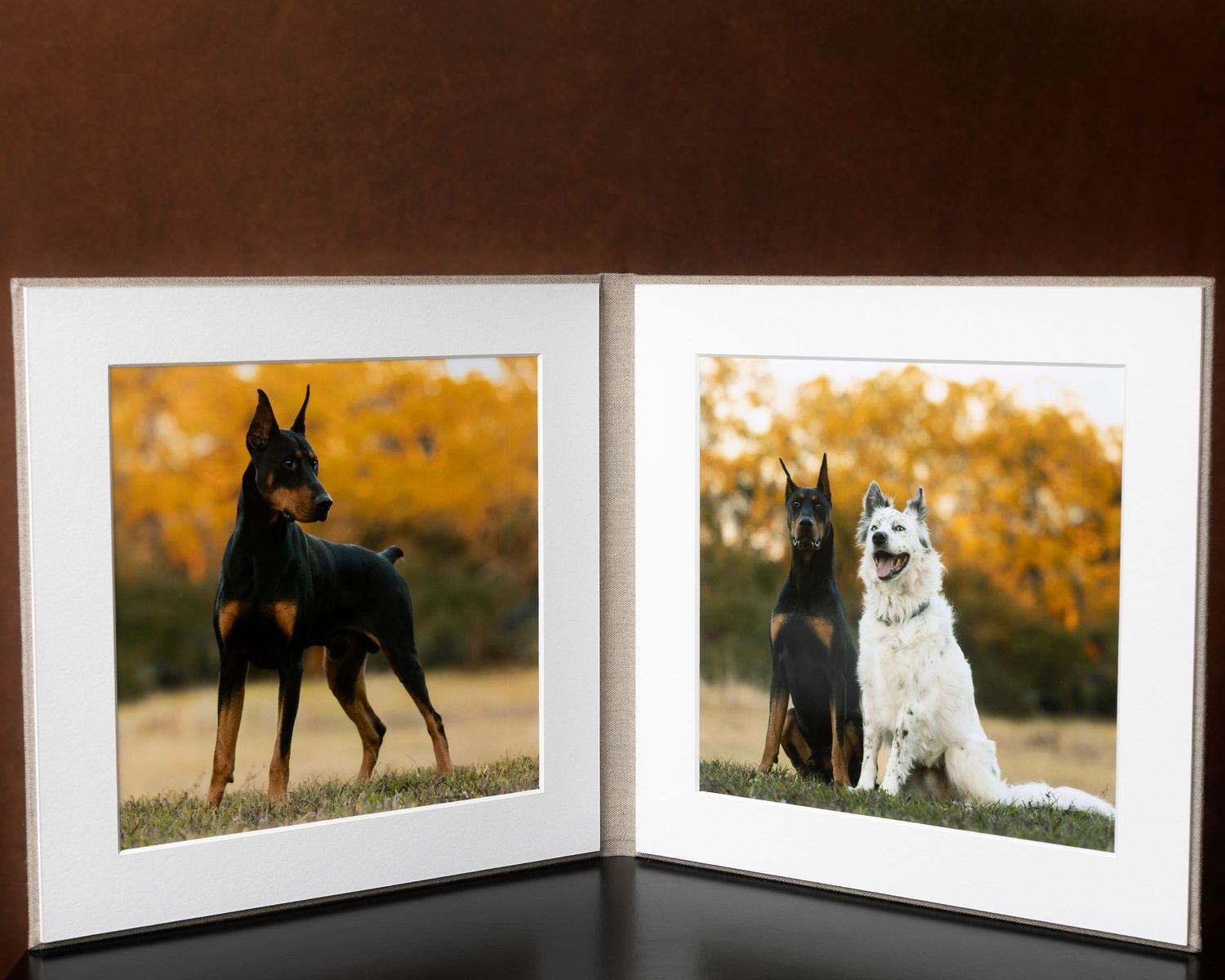 Elegant folio display alongside with pet portrait, perfect for showcasing and preserving cherished pet photography in a timeless keeps