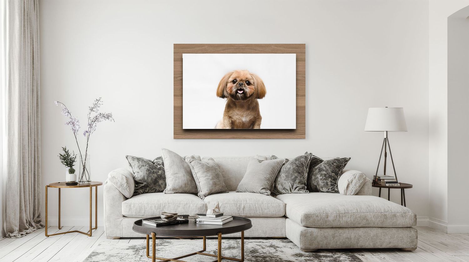 Tampa dog photographer creating fine-art portraits with signature float on wall