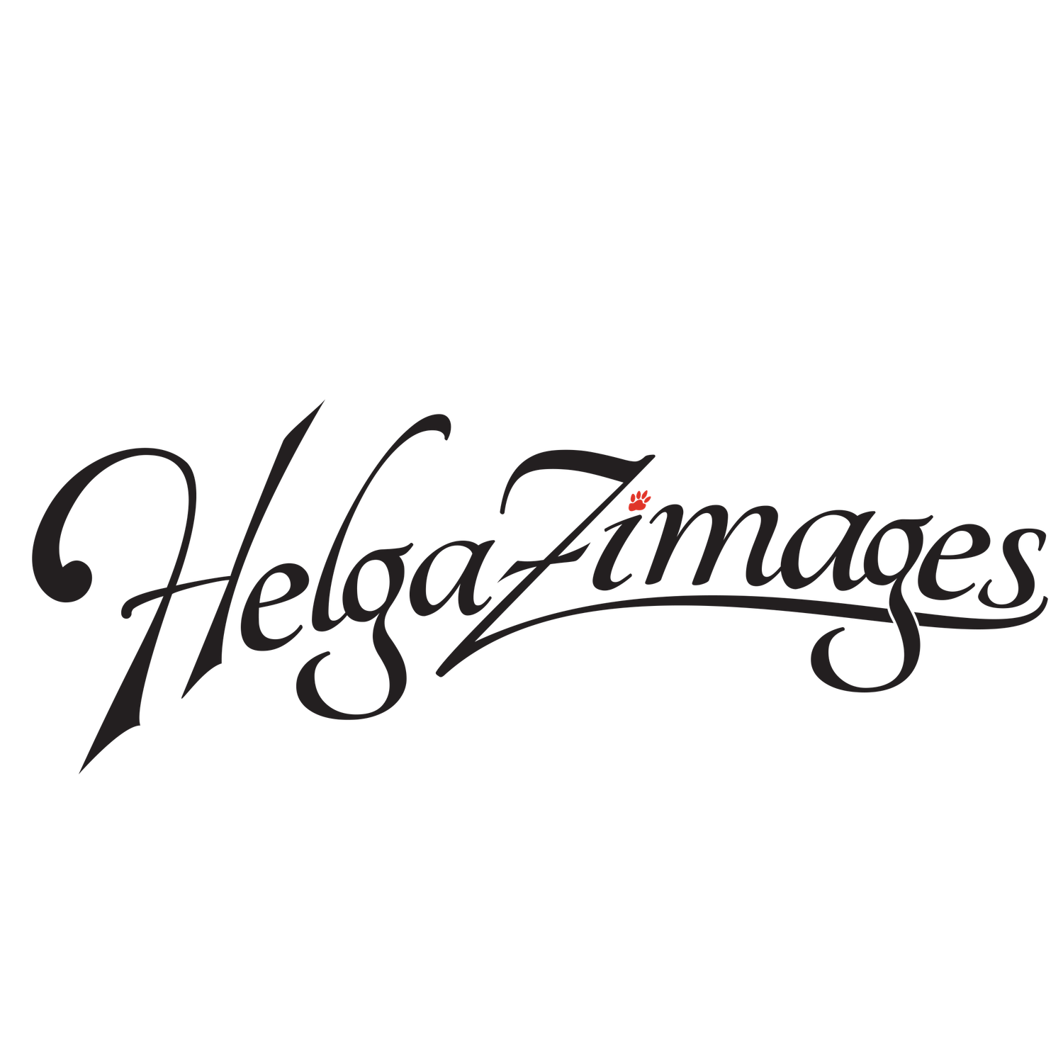 Tampa dog photographer creating fine-art portraits  - her logo