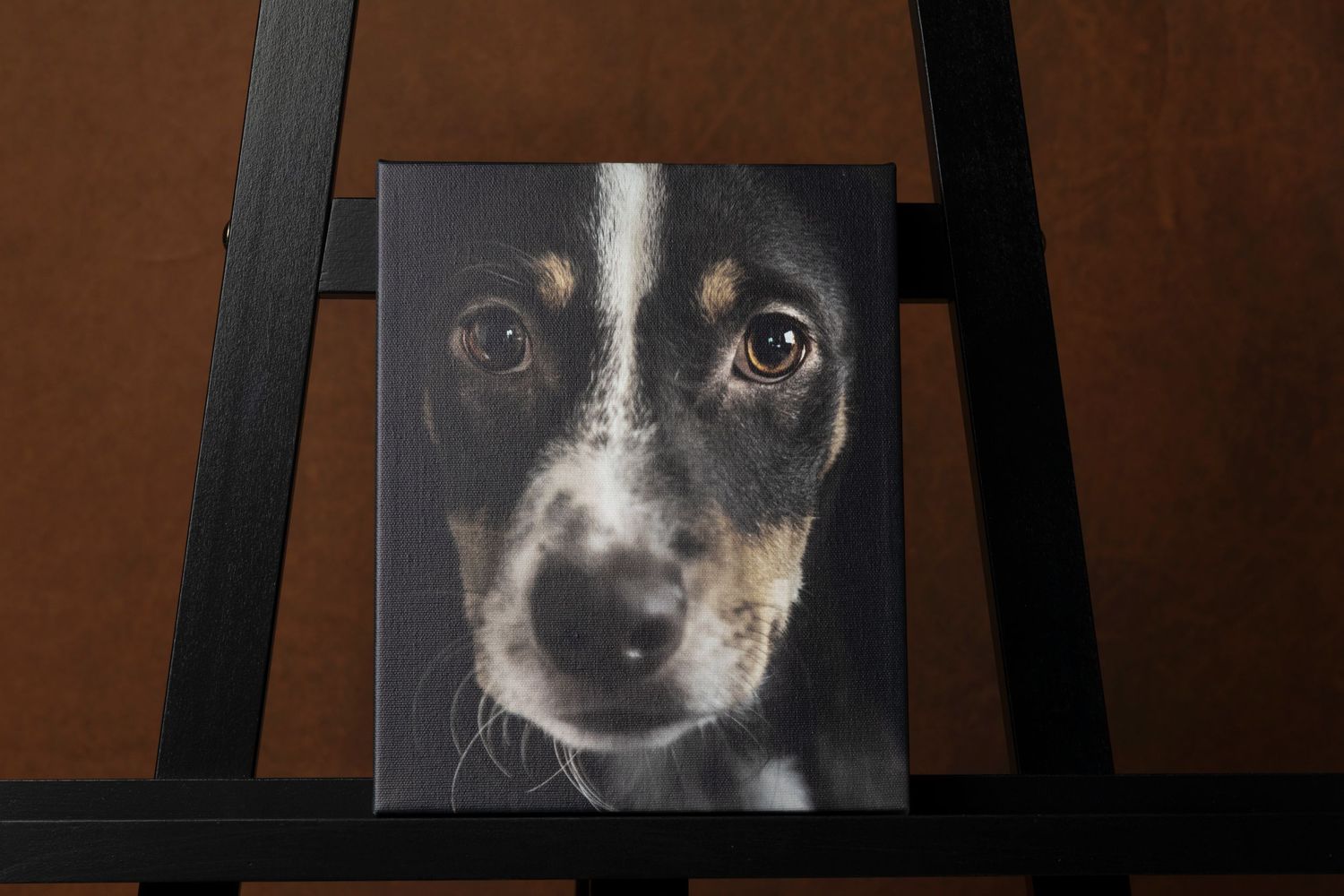 Elegant wall art canvas featuring a timeless fine art pet portrait, showcasing a beautifully captured dog in a stunning, high-quality print