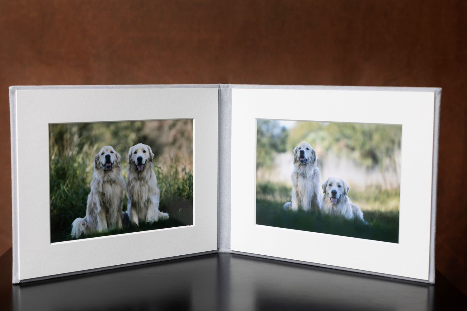 Elegant folio display alongside with pet portrait, perfect for showcasing and preserving cherished pet photography in a timeless keeps