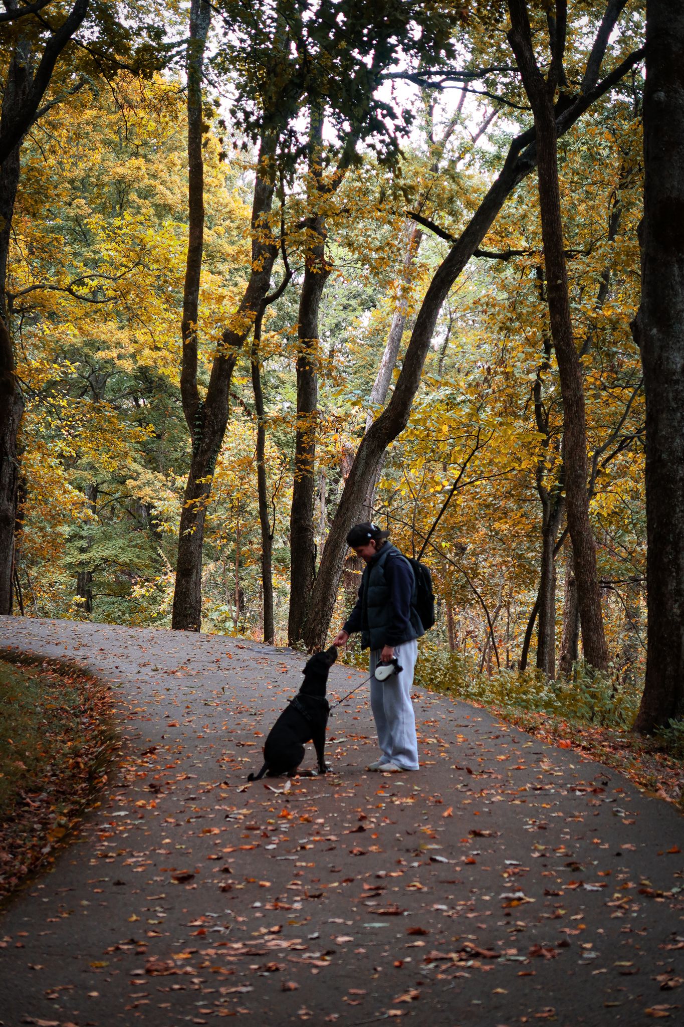 Girl and her dog looking at each other in front of fall leaves for photoshoot