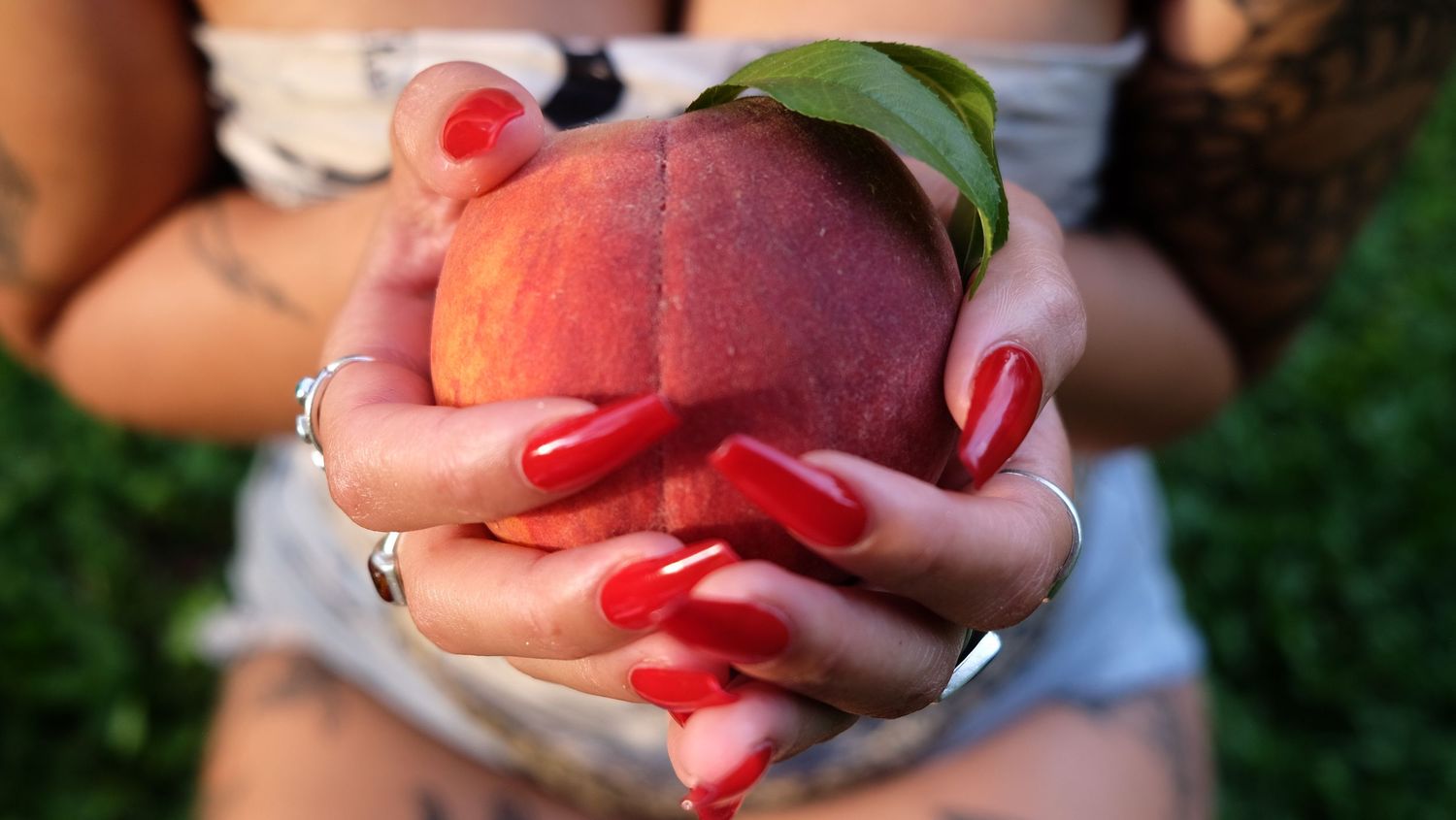 Hands with long red manicured nails and silver rings hold a ripe peach with a green leaf, with grass blurred in the background.