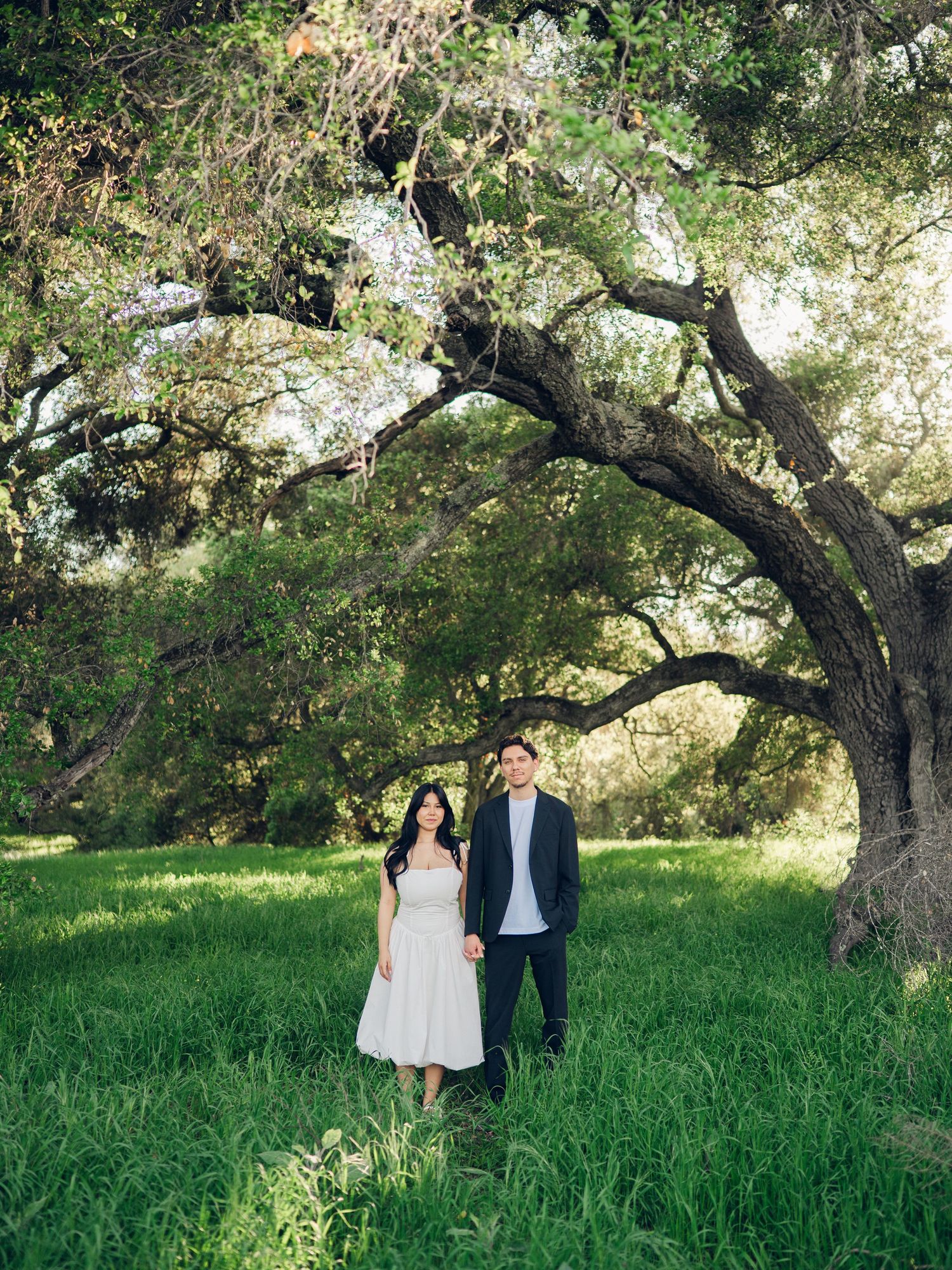 Couple holding hands in a lush green meadow beneath a sprawling oak tree during an outdoor engagement session.
