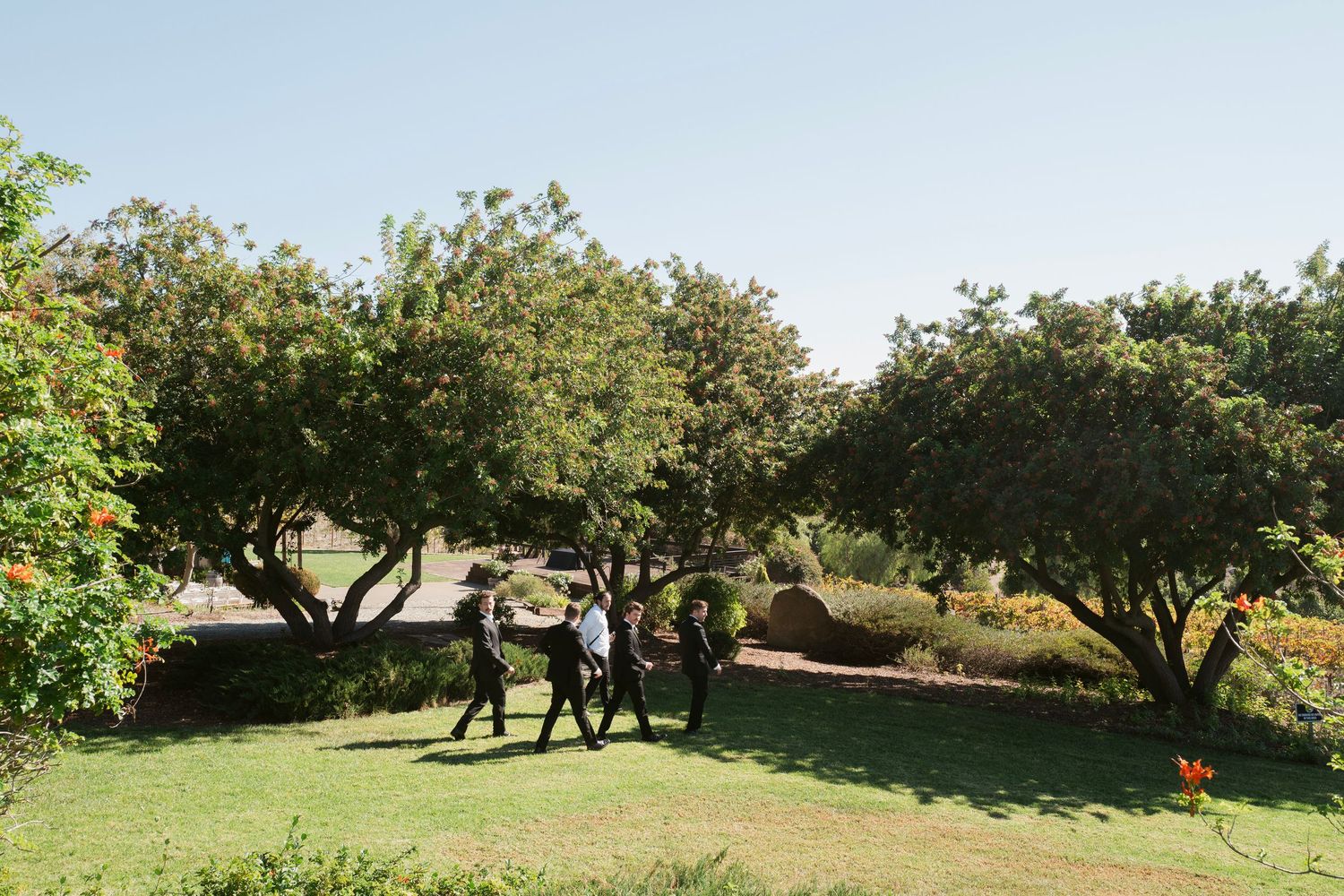 Wedding party guests walking through a lush green garden with mature trees on a sunny clear day.
