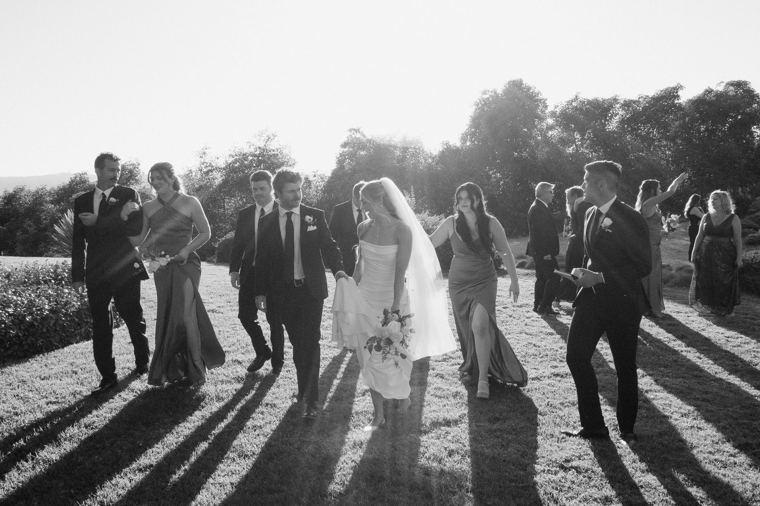 Black and white photo of bride, groom, and wedding party walking together across a sunlit field.