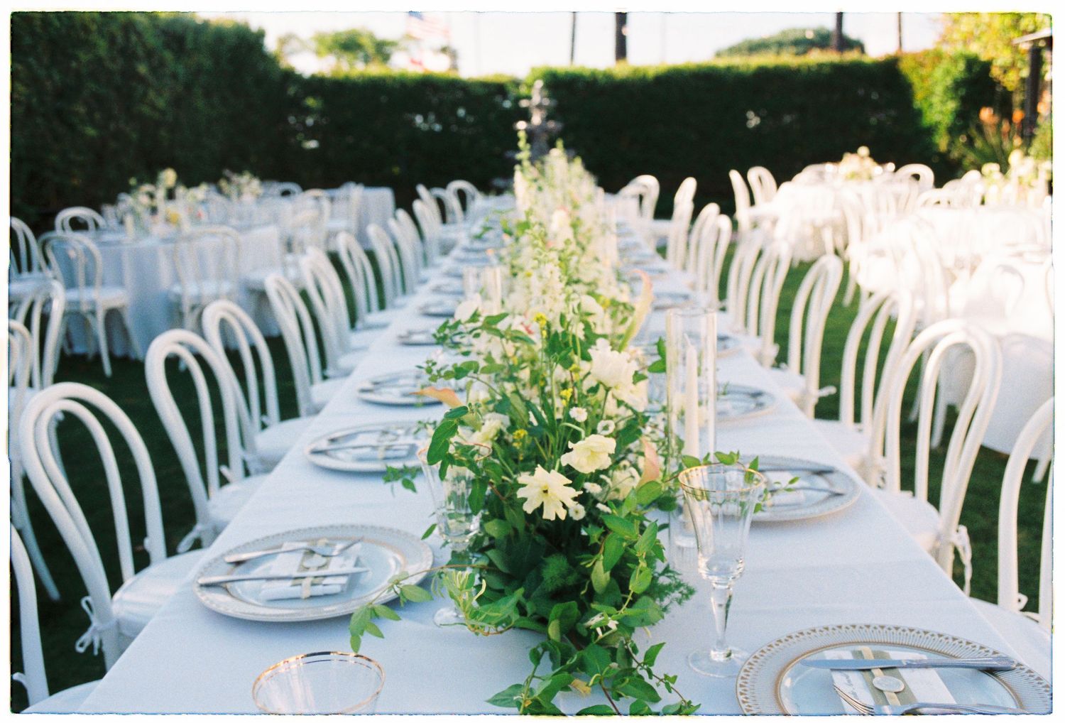 Elegant outdoor wedding reception with long white tables, bentwood chairs, and lush green floral centerpieces.